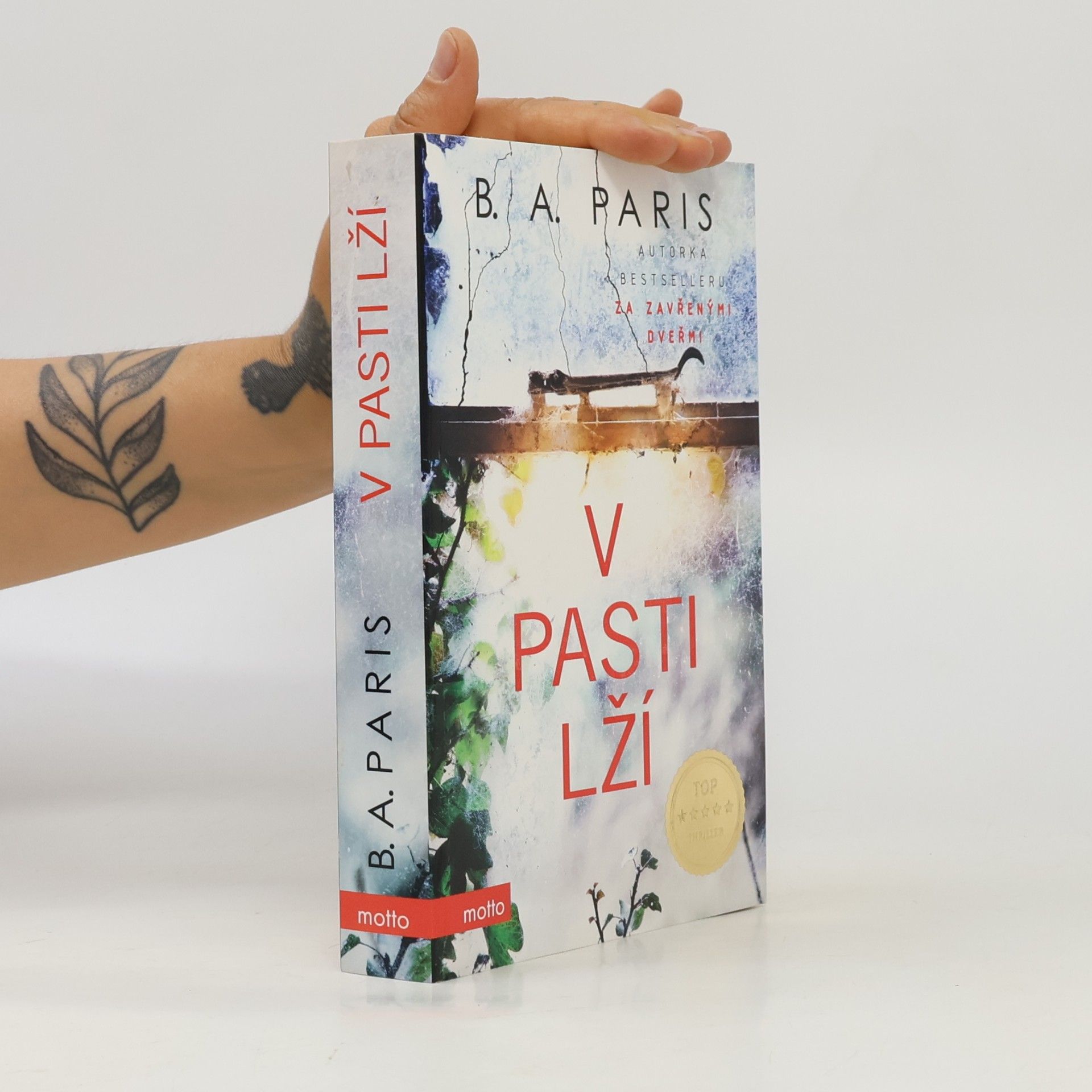 B.A. Paris V pasti lží
