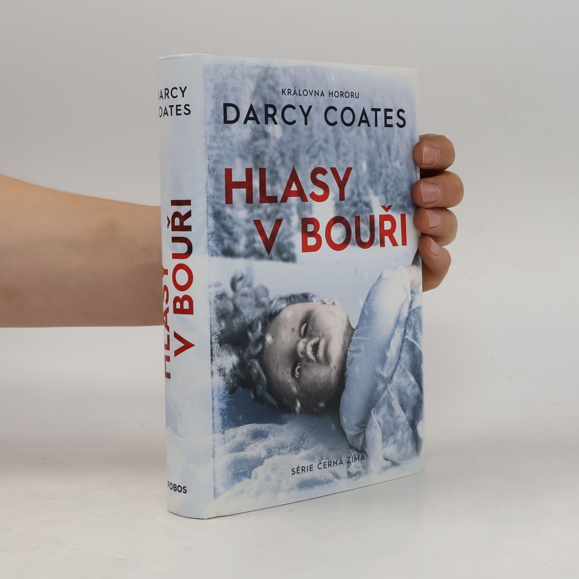 Darcy Coates Hlasy v bouři