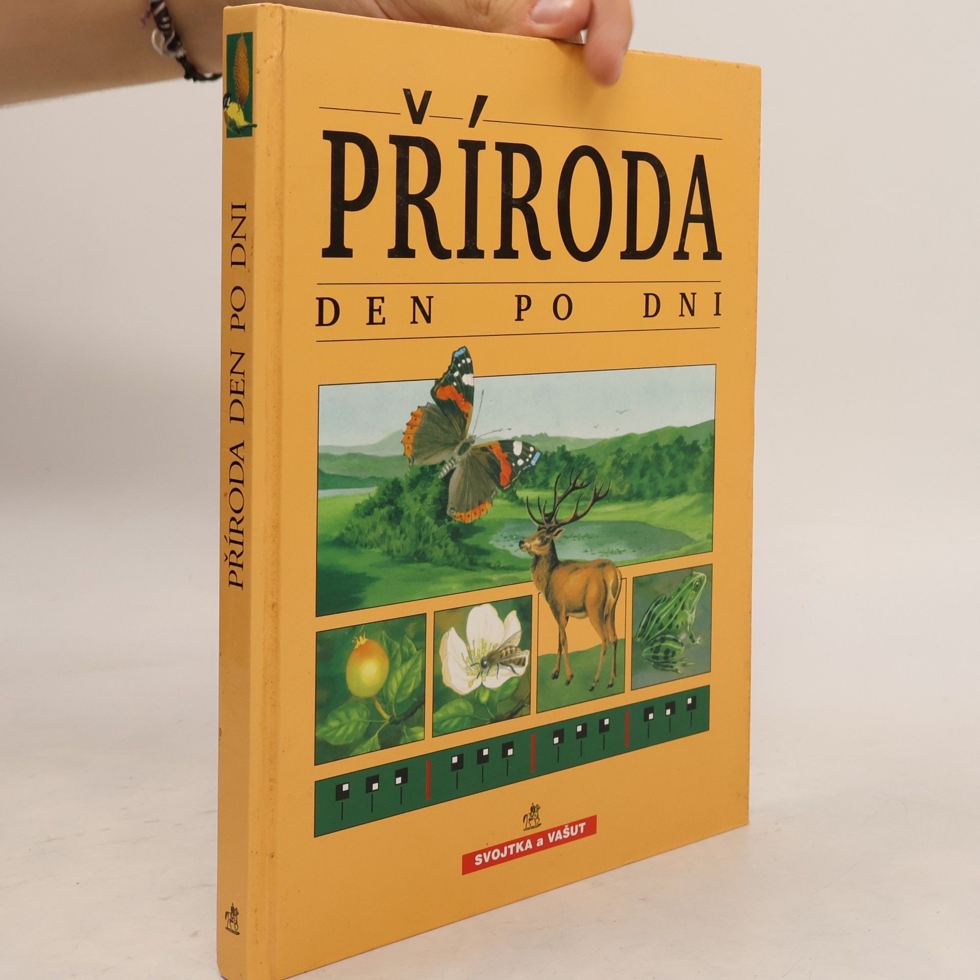 Blandine de Montmorillon Příroda den po dni
