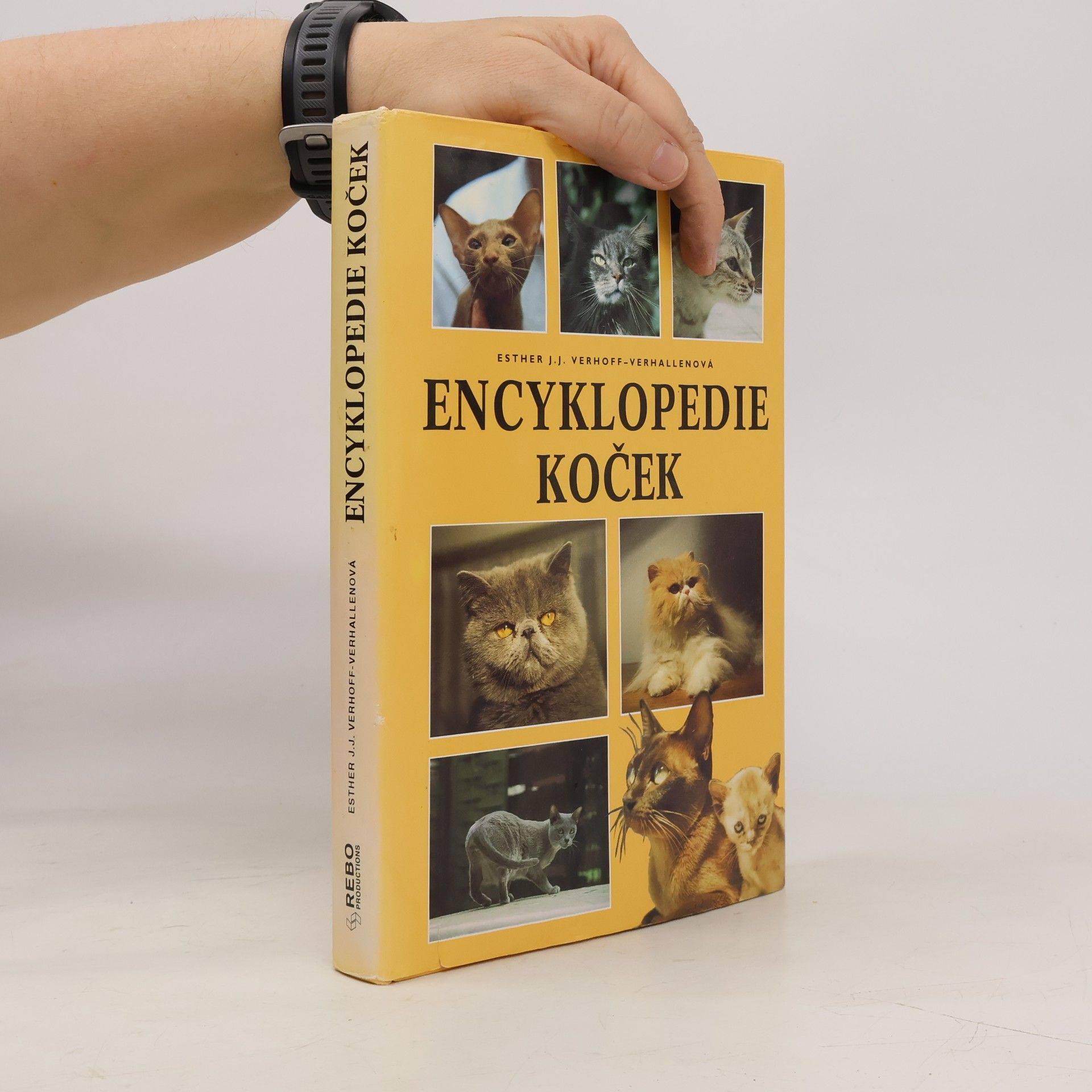 Esther Verhoef Verhallen Encyklopedie koček