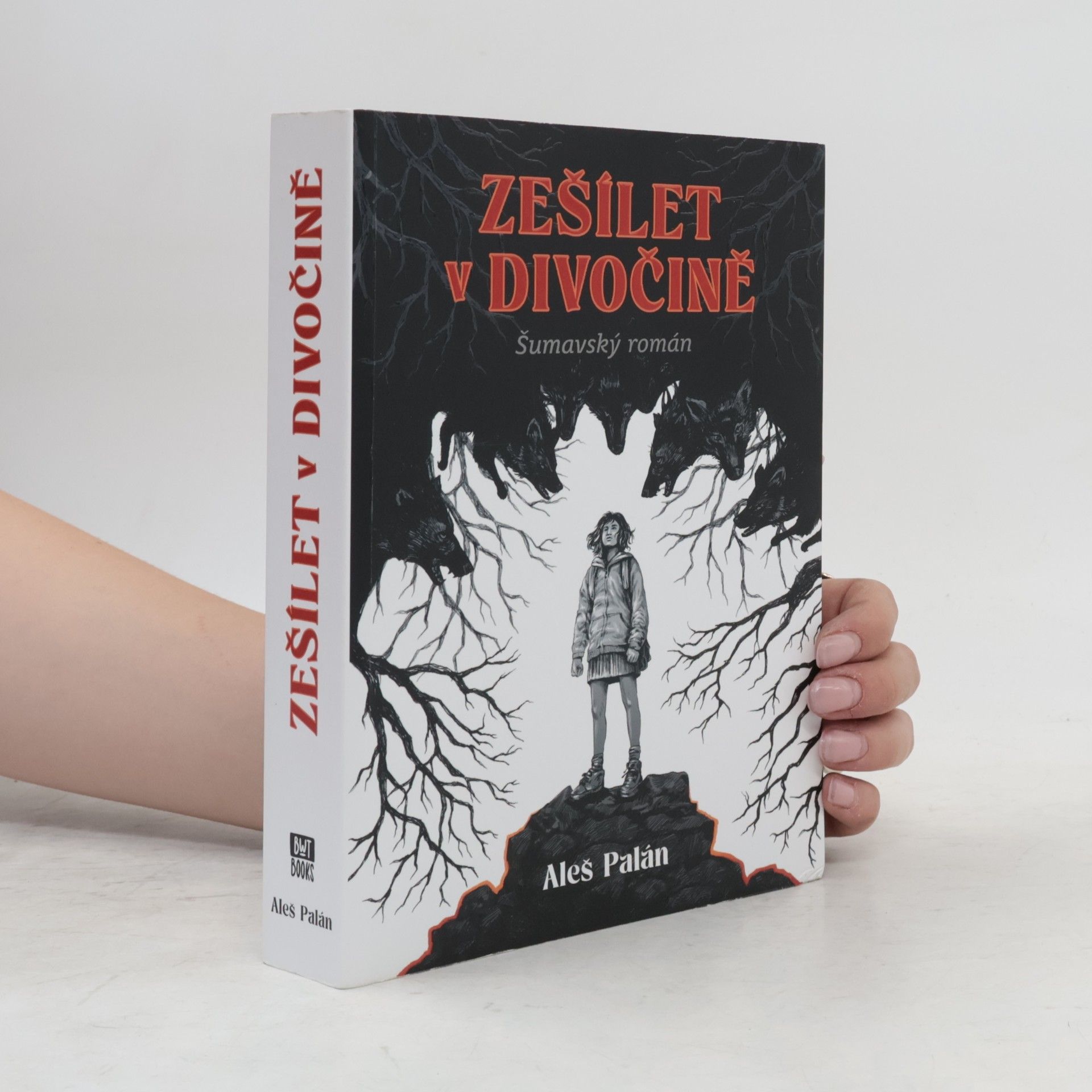 Aleš Palán Zešílet v divočině