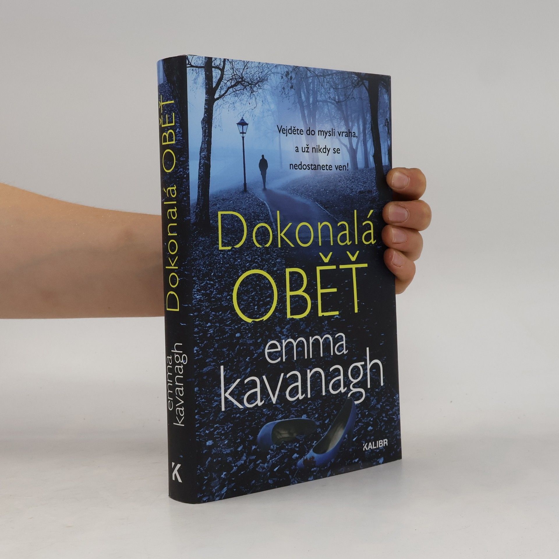 Dokonalá oběť