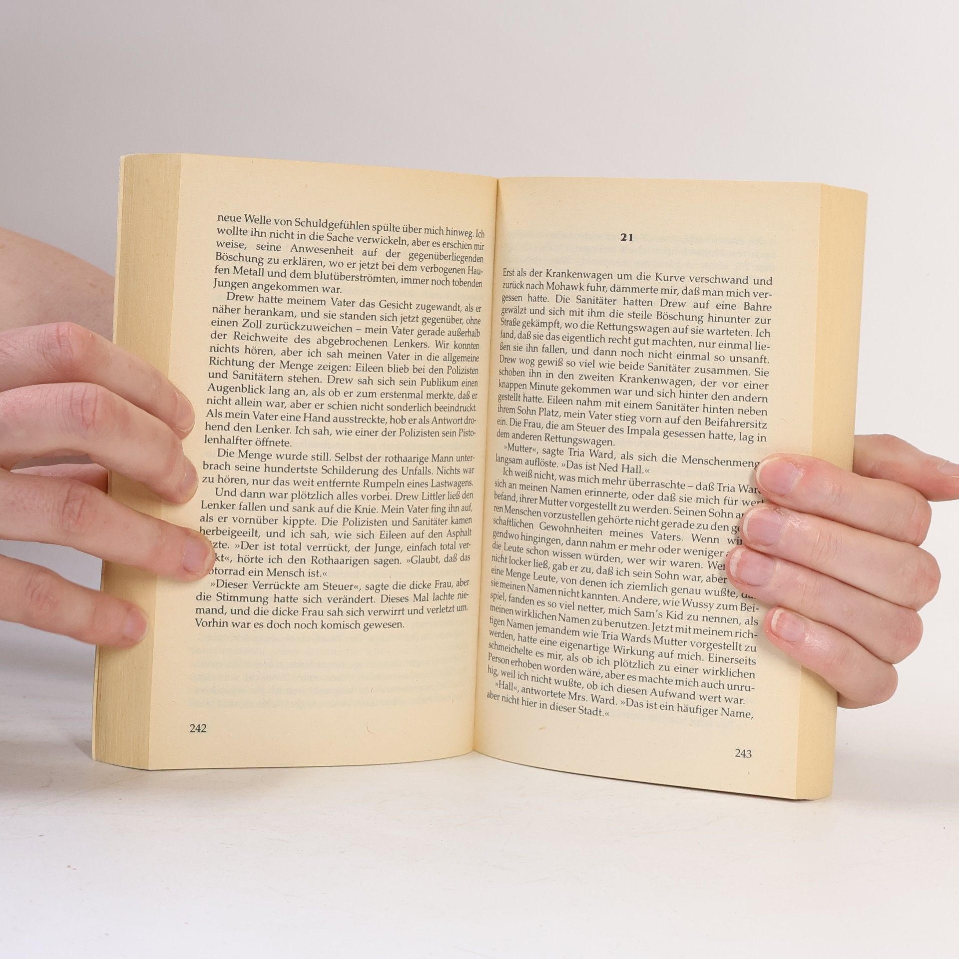 Richard Russo Der Sohn eines Diebes