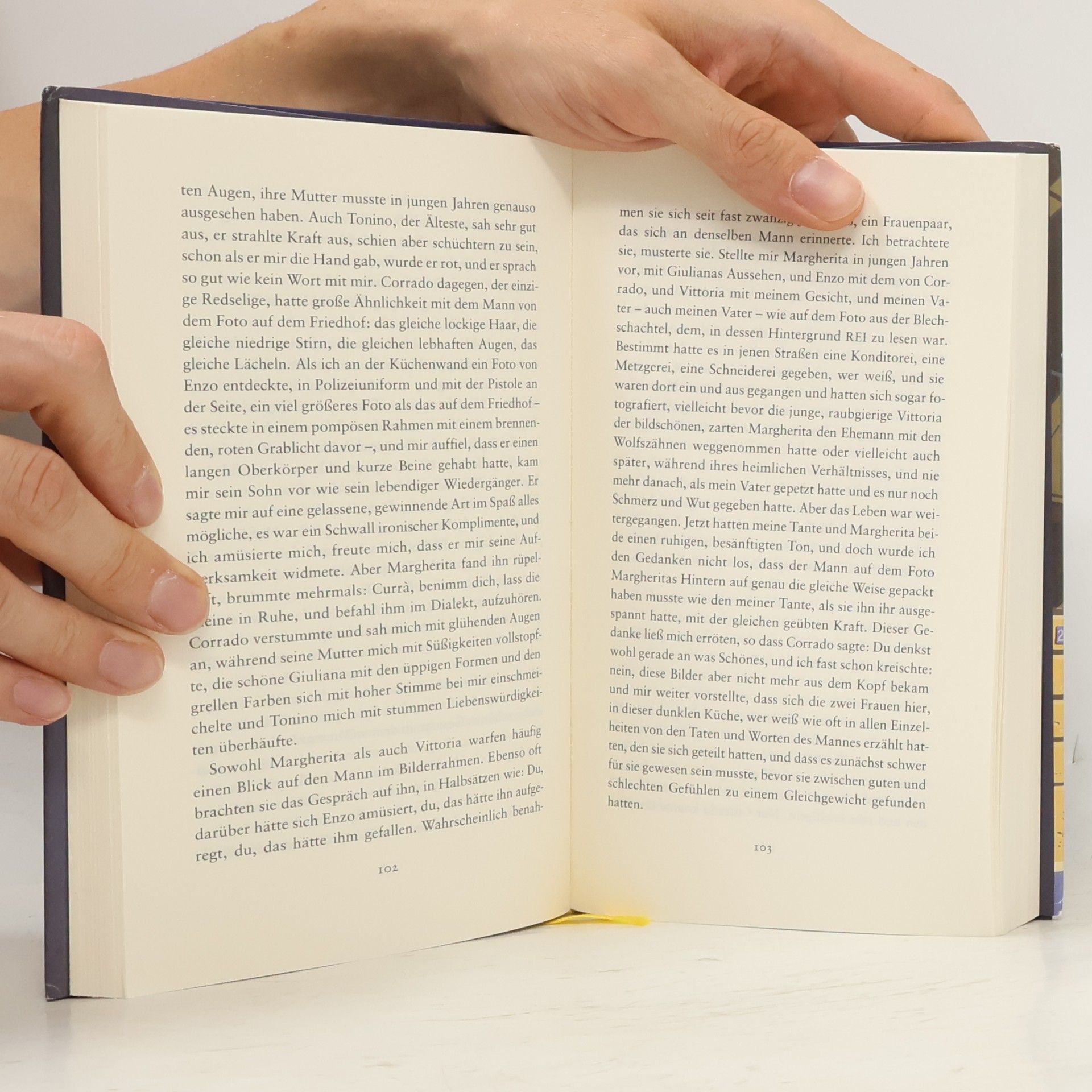 Elena Ferrante Das lügenhafte Leben der Erwachsenen