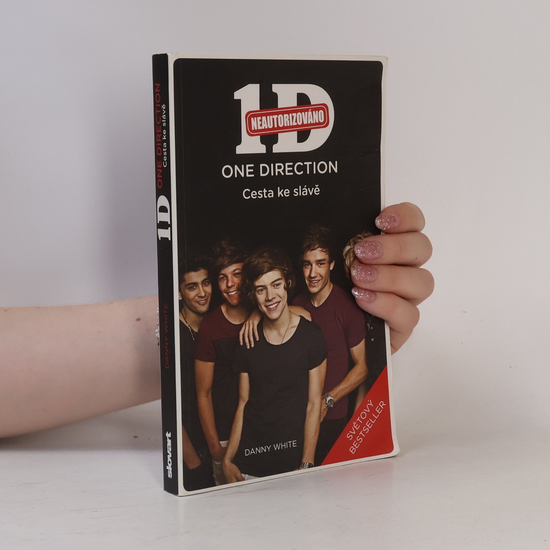 Danny White 1D - One Direction: Cesta ke slávě