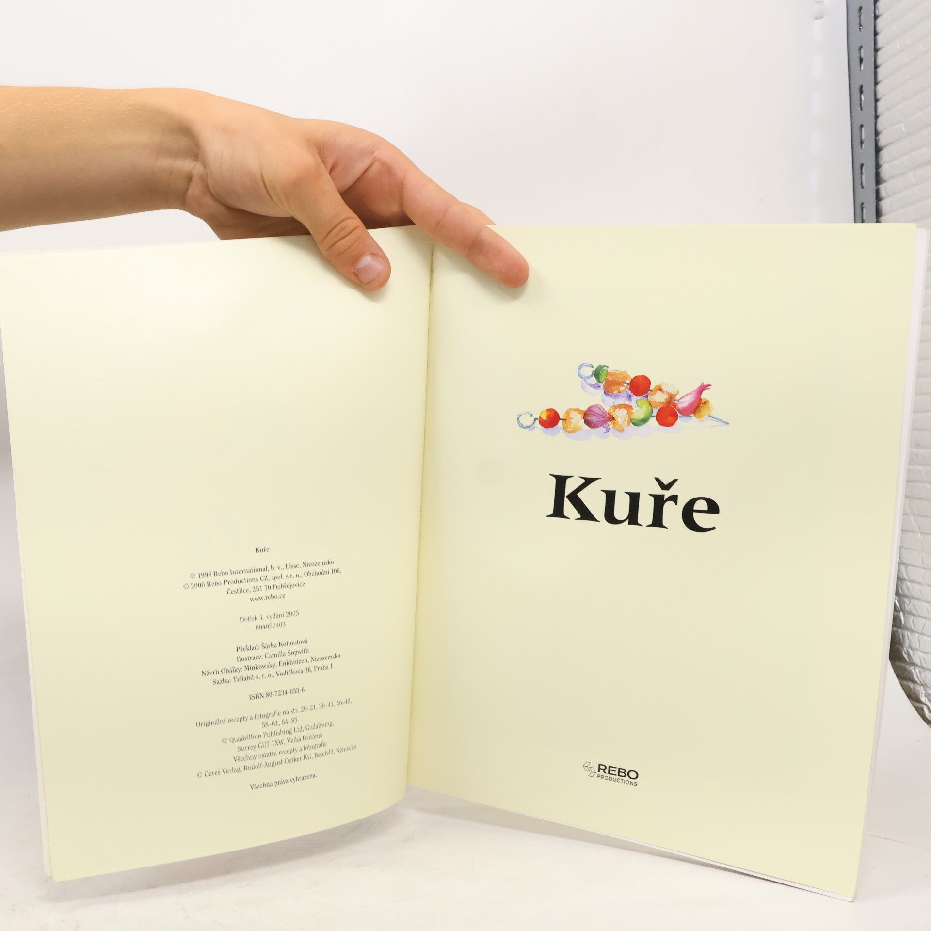 Kolektiv autorů Kuře
