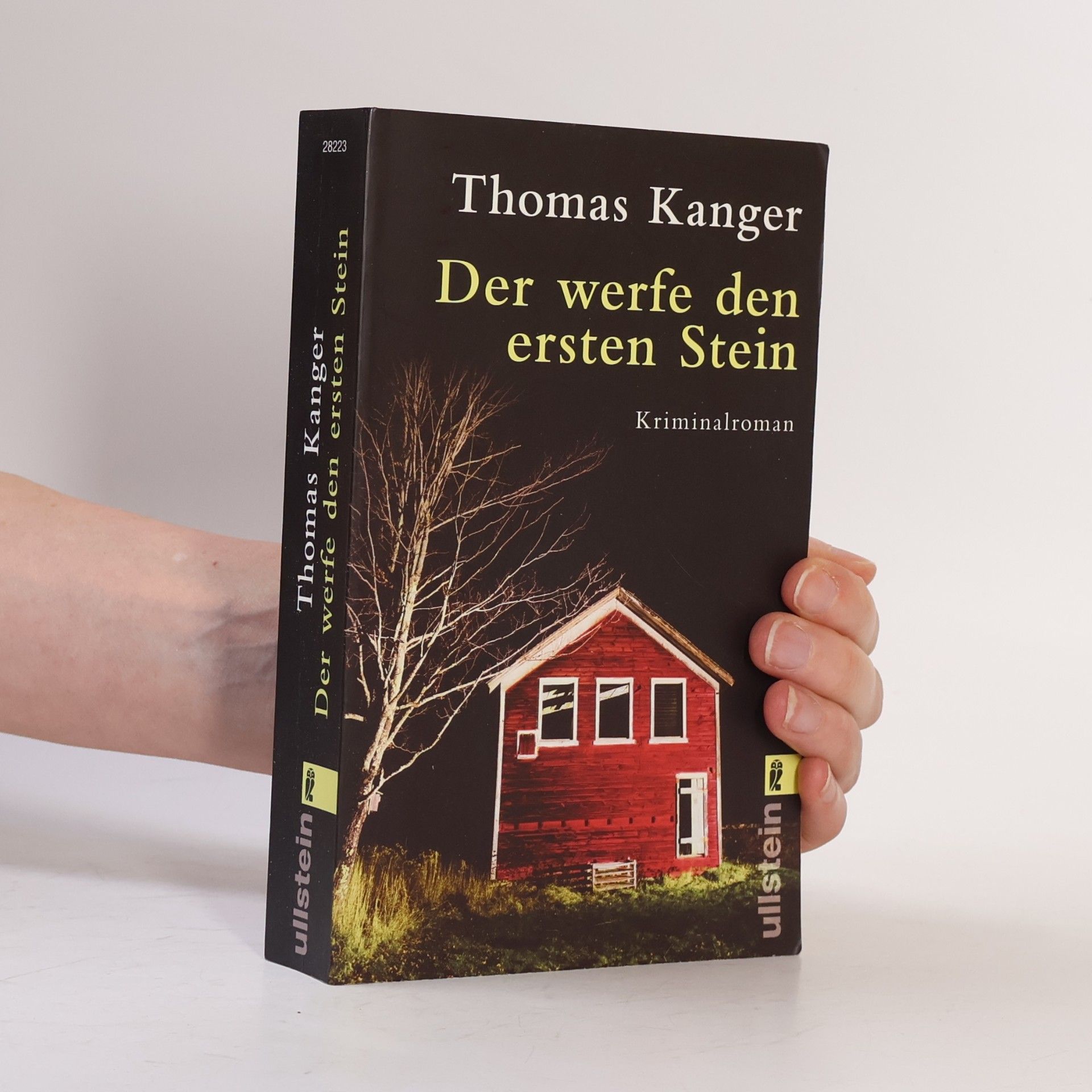 Thomas Kanger Der werfe den ersten Stein