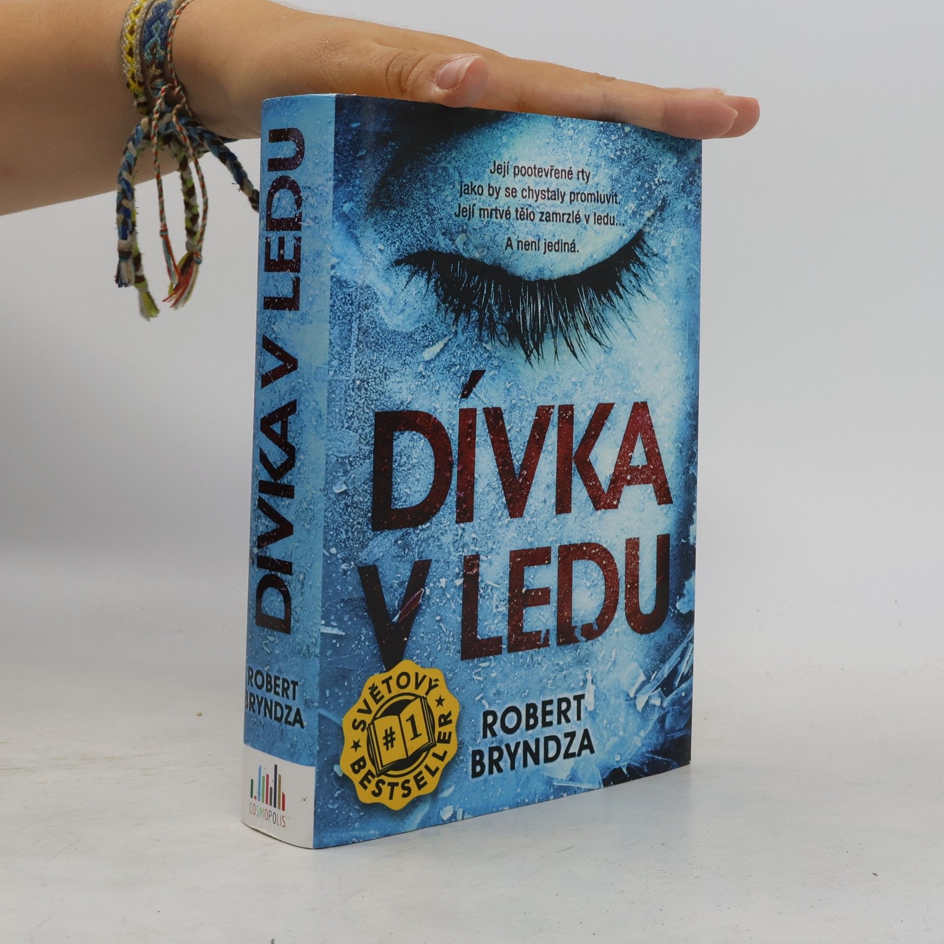 Dívka v ledu