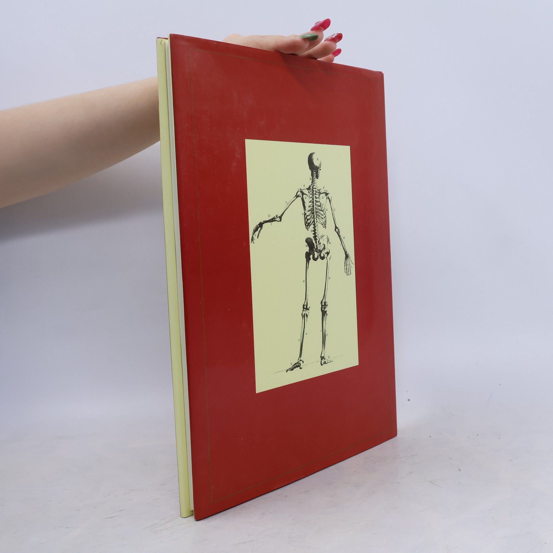 Ian Simpson Anatomie člověka. S kresbami Leonarda da Vinciho, Johna Flaxmana, Henryho Graye a dalších