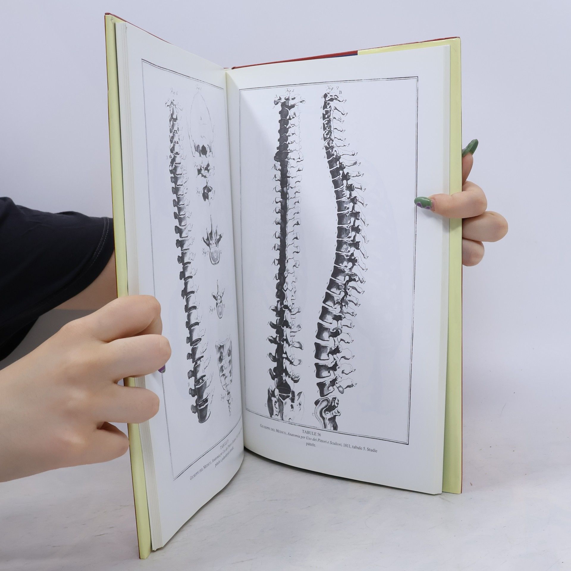 Ian Simpson Anatomie člověka. S kresbami Leonarda da Vinciho, Johna Flaxmana, Henryho Graye a dalších