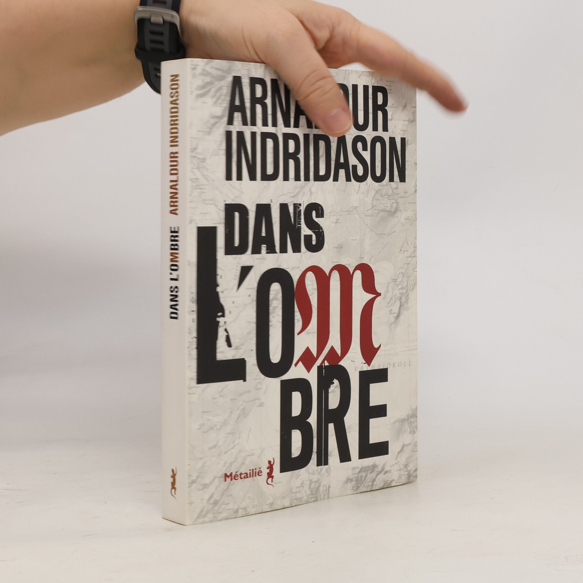 Arnaldur Indriðason Dans l'ombre