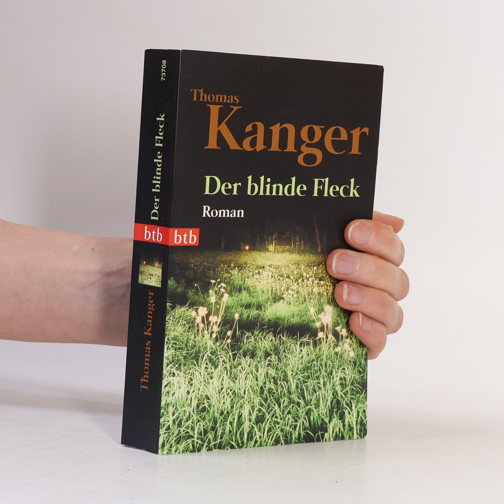 Thomas Kanger Der blinde Fleck