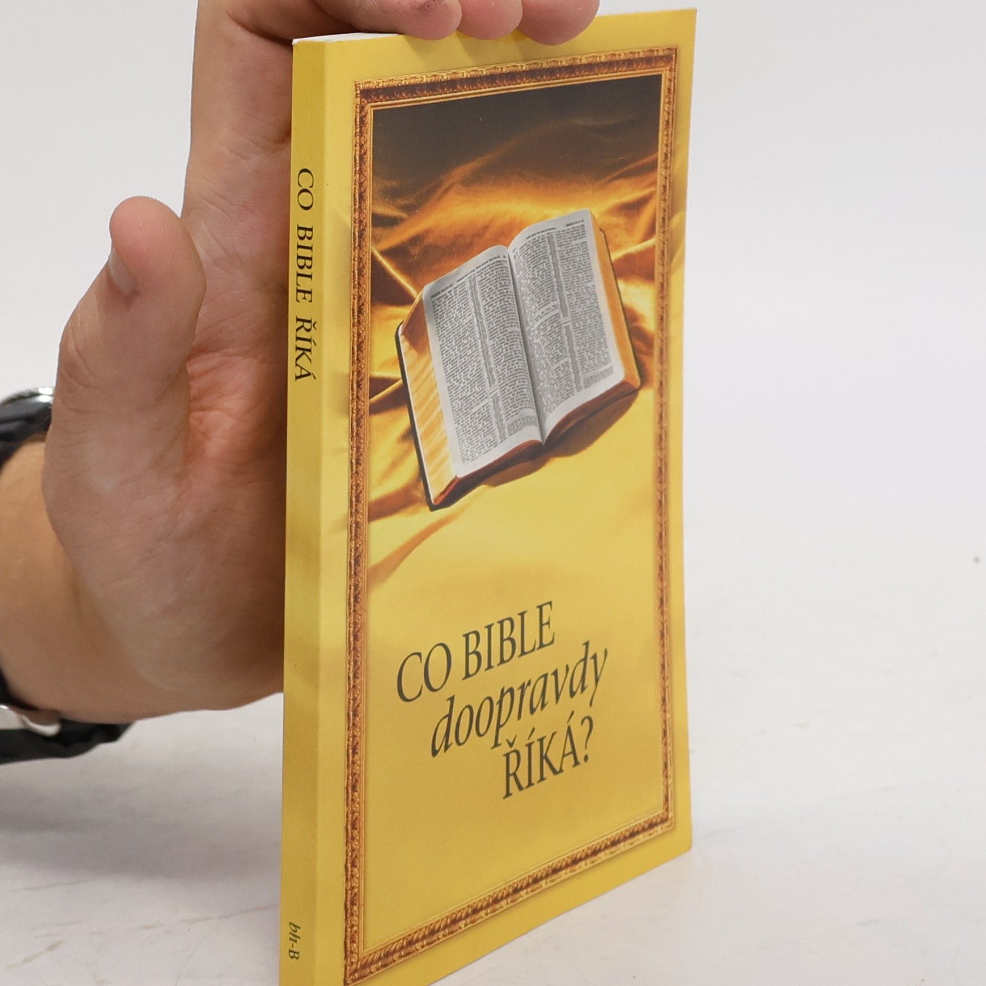 Collectif d'auteurs Co Bible doopravdy říká?