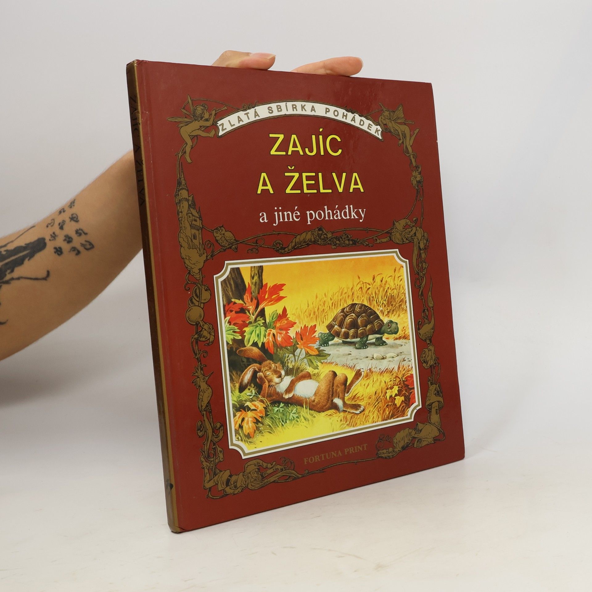 Autorenkollektiv Zajíc a želva a jiné pohádky