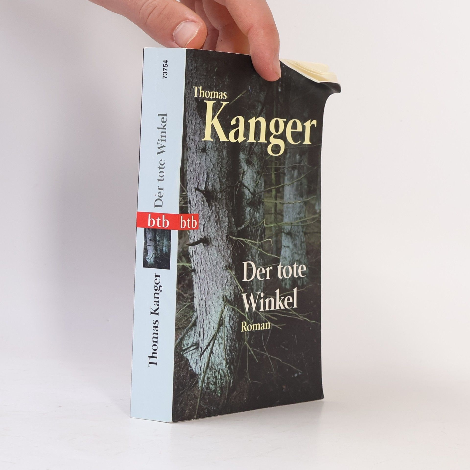 Thomas Kanger Der tote Winkel