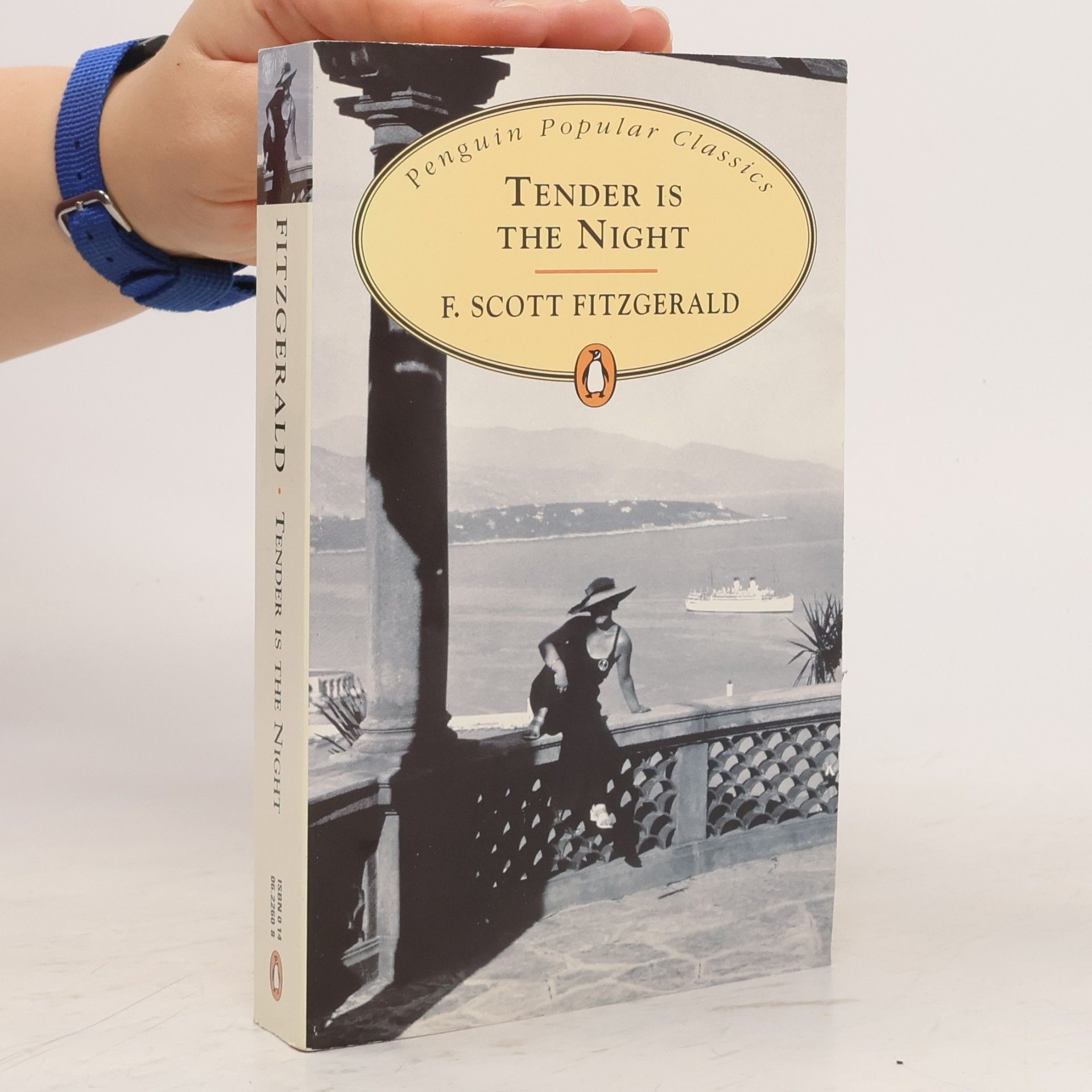 Francis Scott Fitzgerald Tender is the Night
