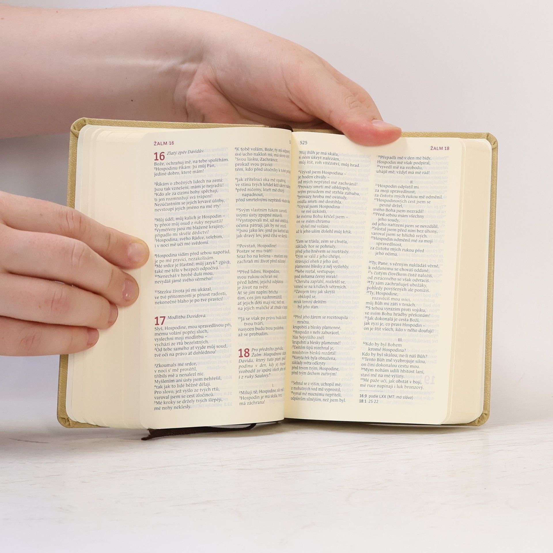 Kolektiv autorů Bible