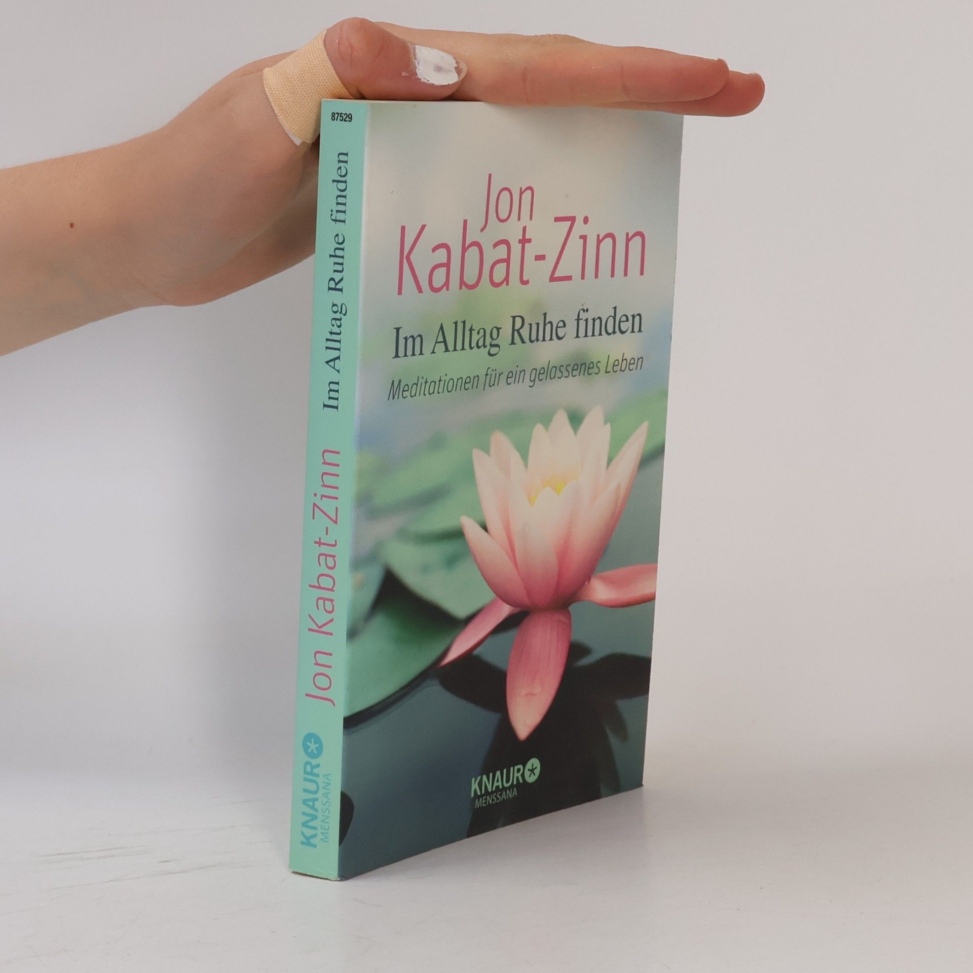 Jon Kabat Zinn Im Alltag Ruhe finden