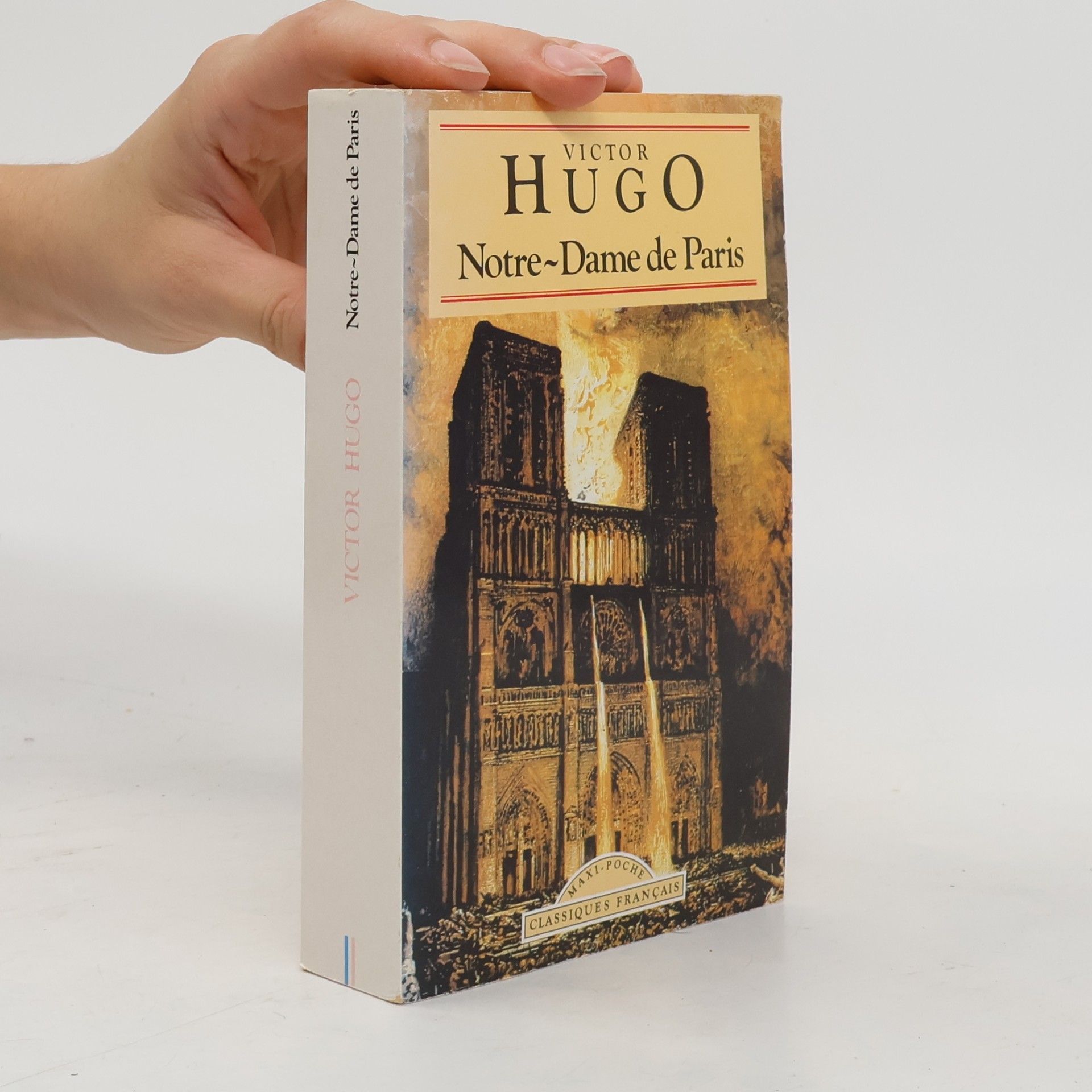 Victor Hugo Notre-Dame de Paris