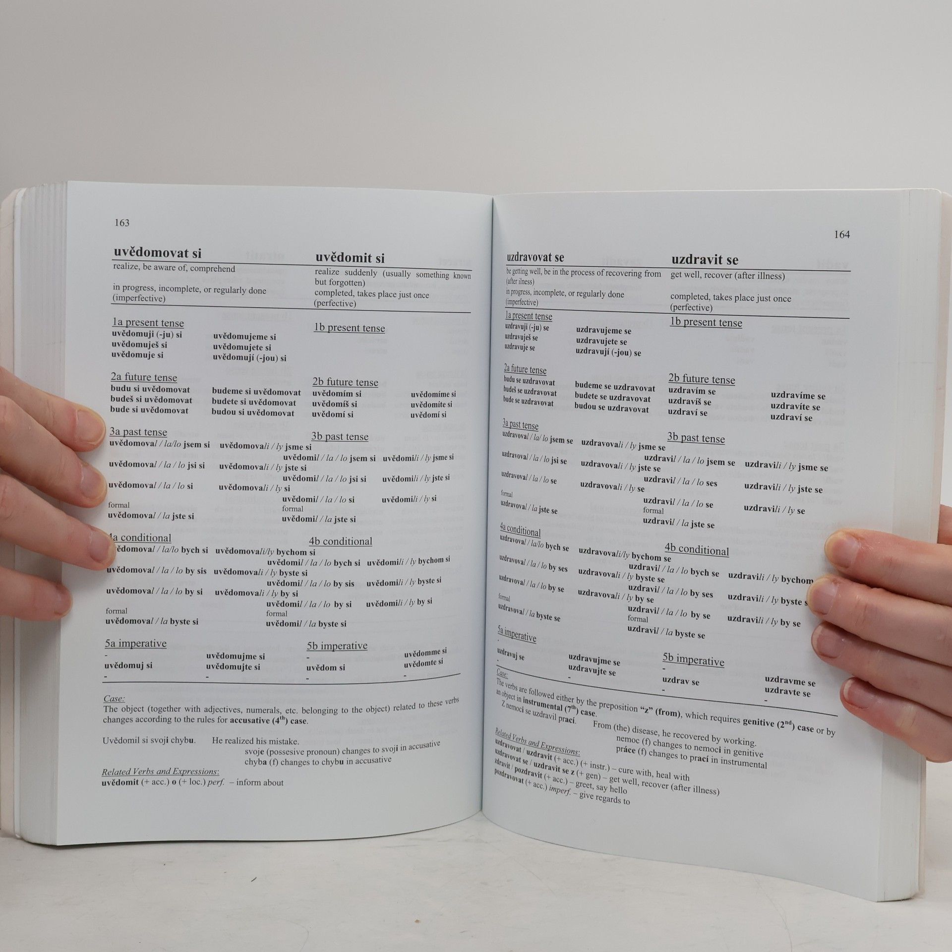 Bruce Davies 401 Czech verbs