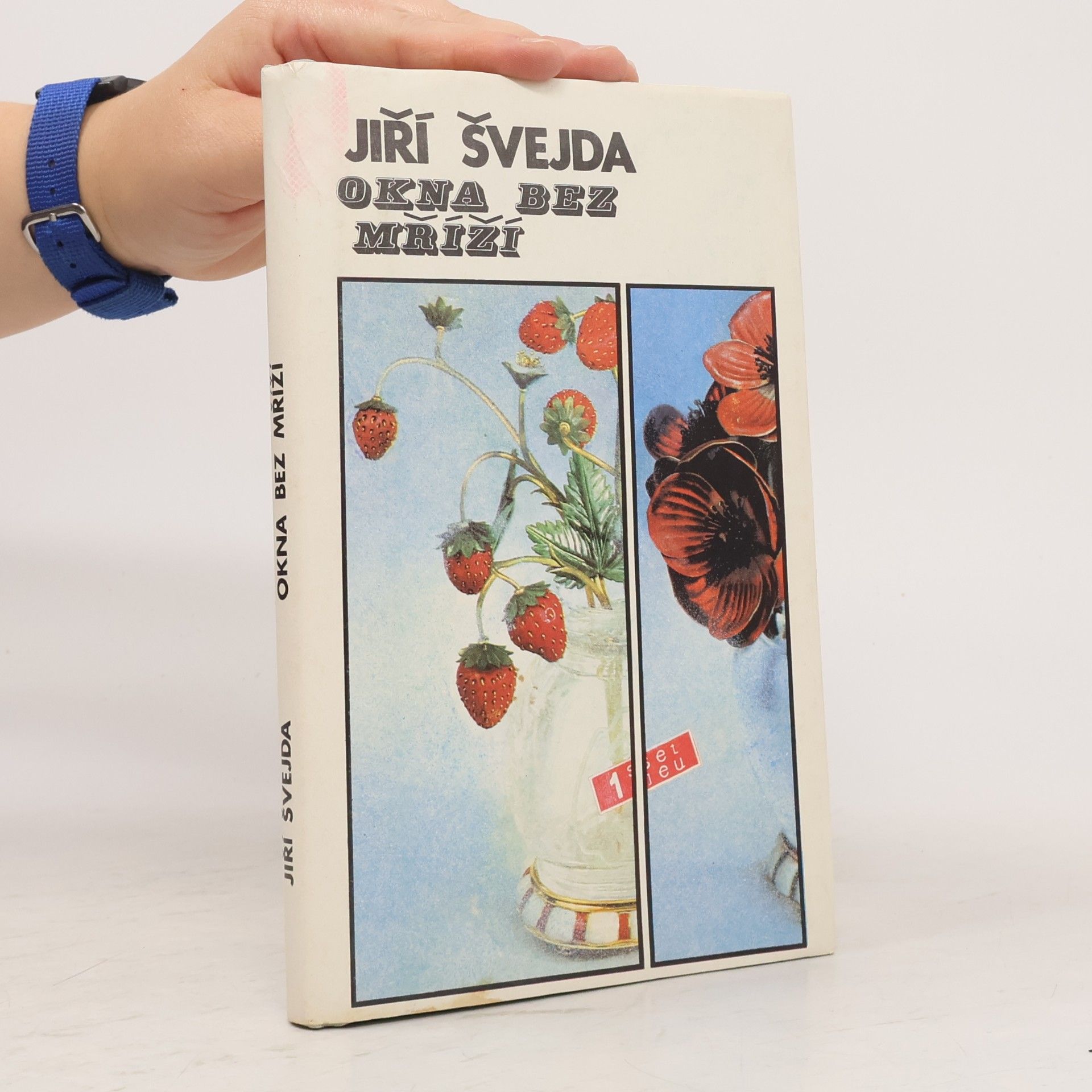Jiří Švejda Okna bez mříží