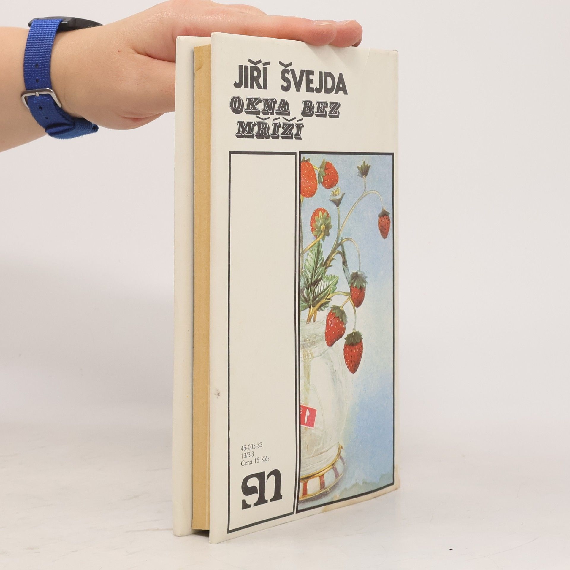 Jiří Švejda Okna bez mříží
