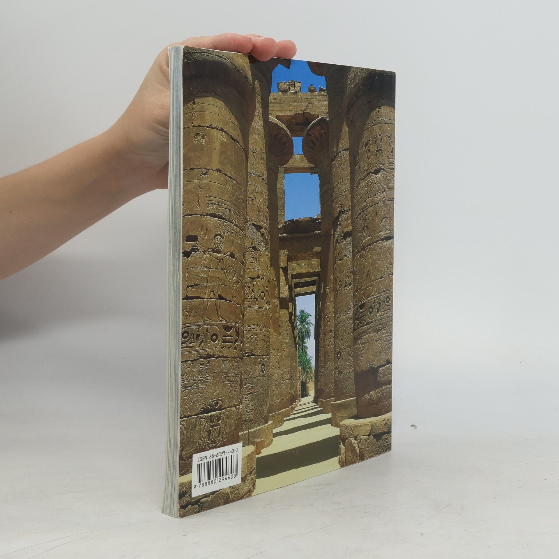 Abbas Chalaby Napříč Egyptem. Od Káhiry po Abu Simbel a Sinaj