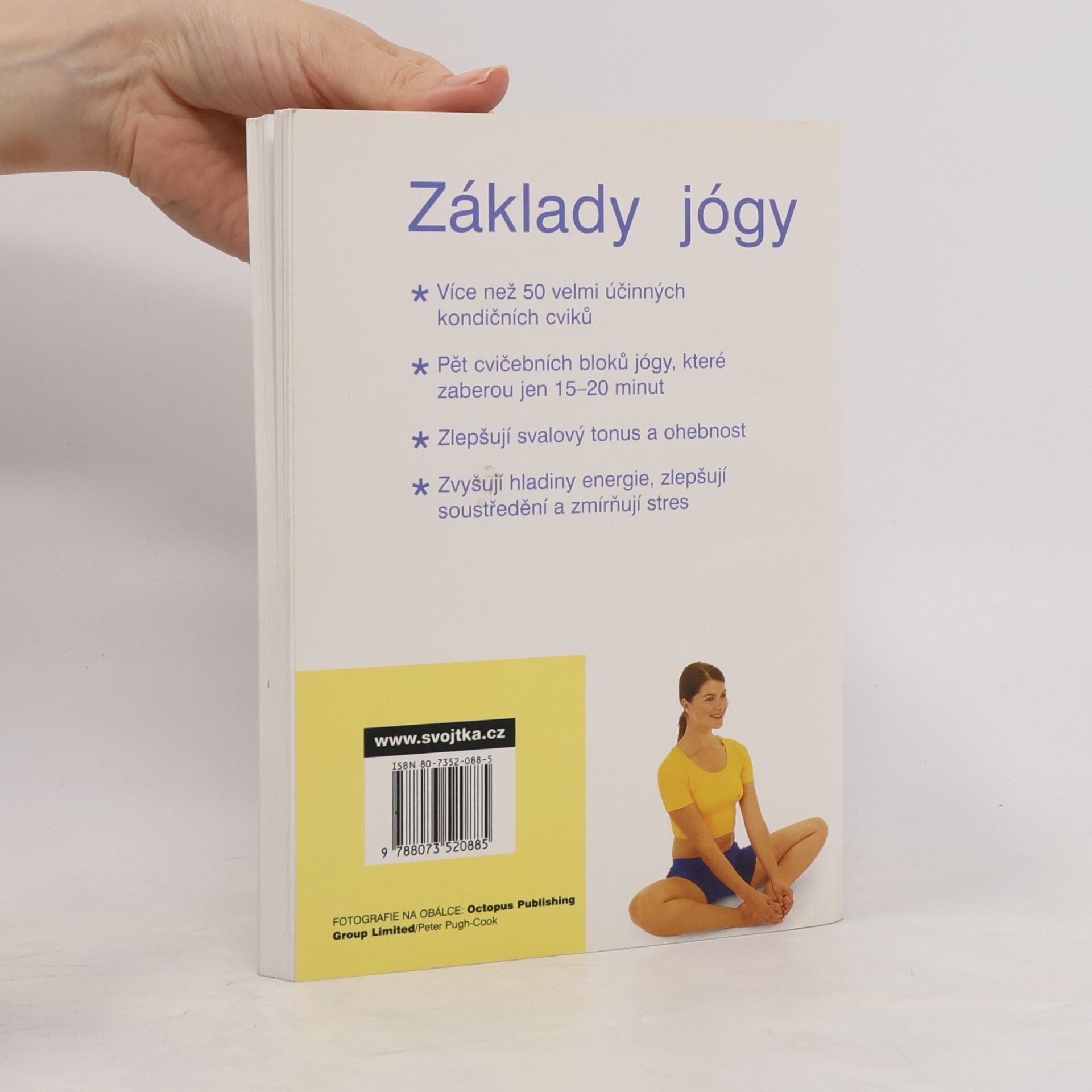 Vimla Lalvani Základy jógy: Protahovací cviky, které posilují, dodávají energii a zbavují stresu