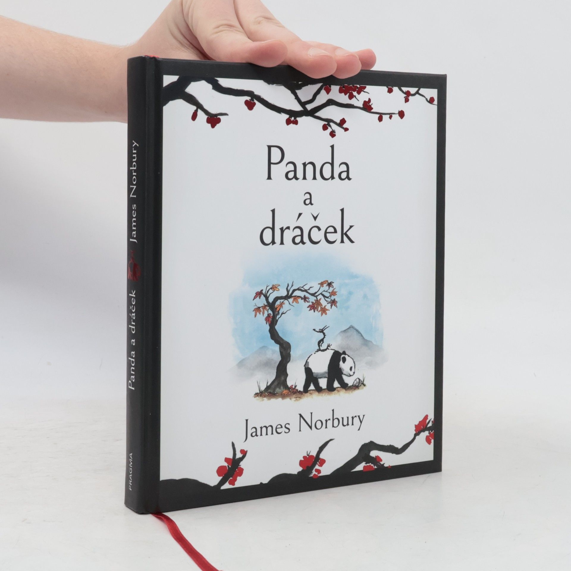 James Norbury Panda a dráček