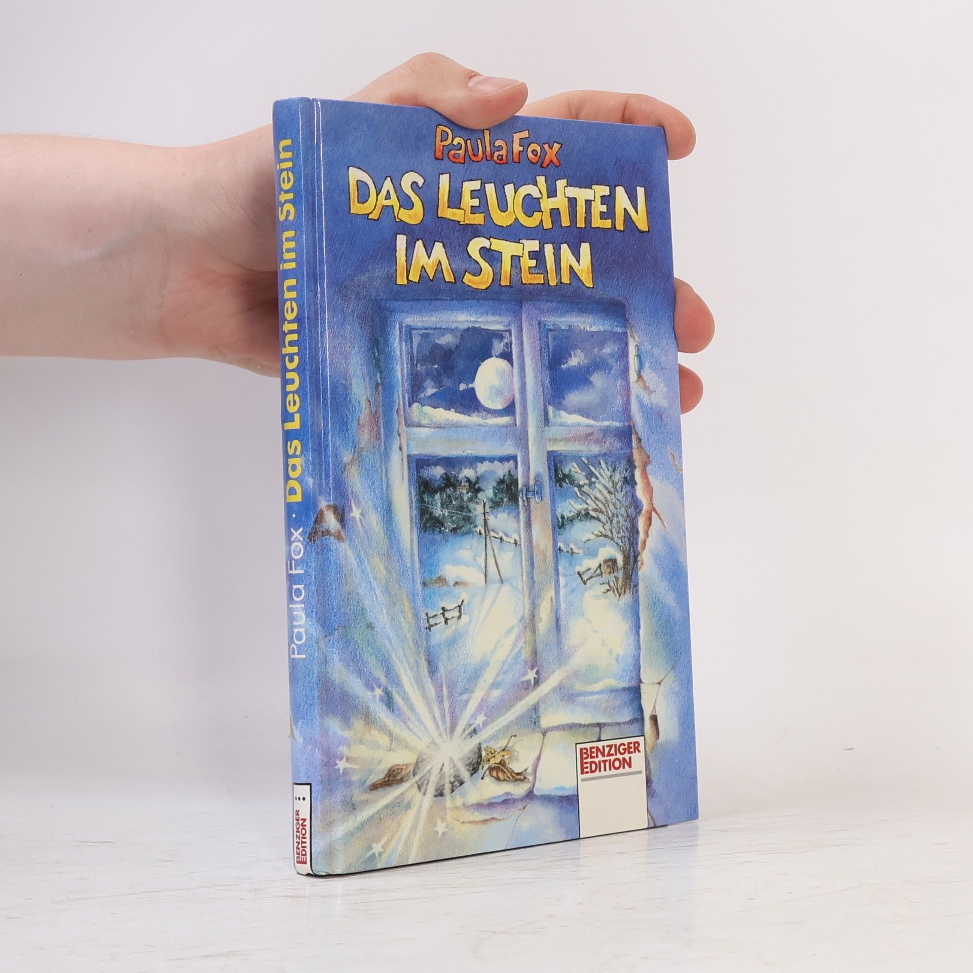 Paula Fox Das Leuchten im Stein