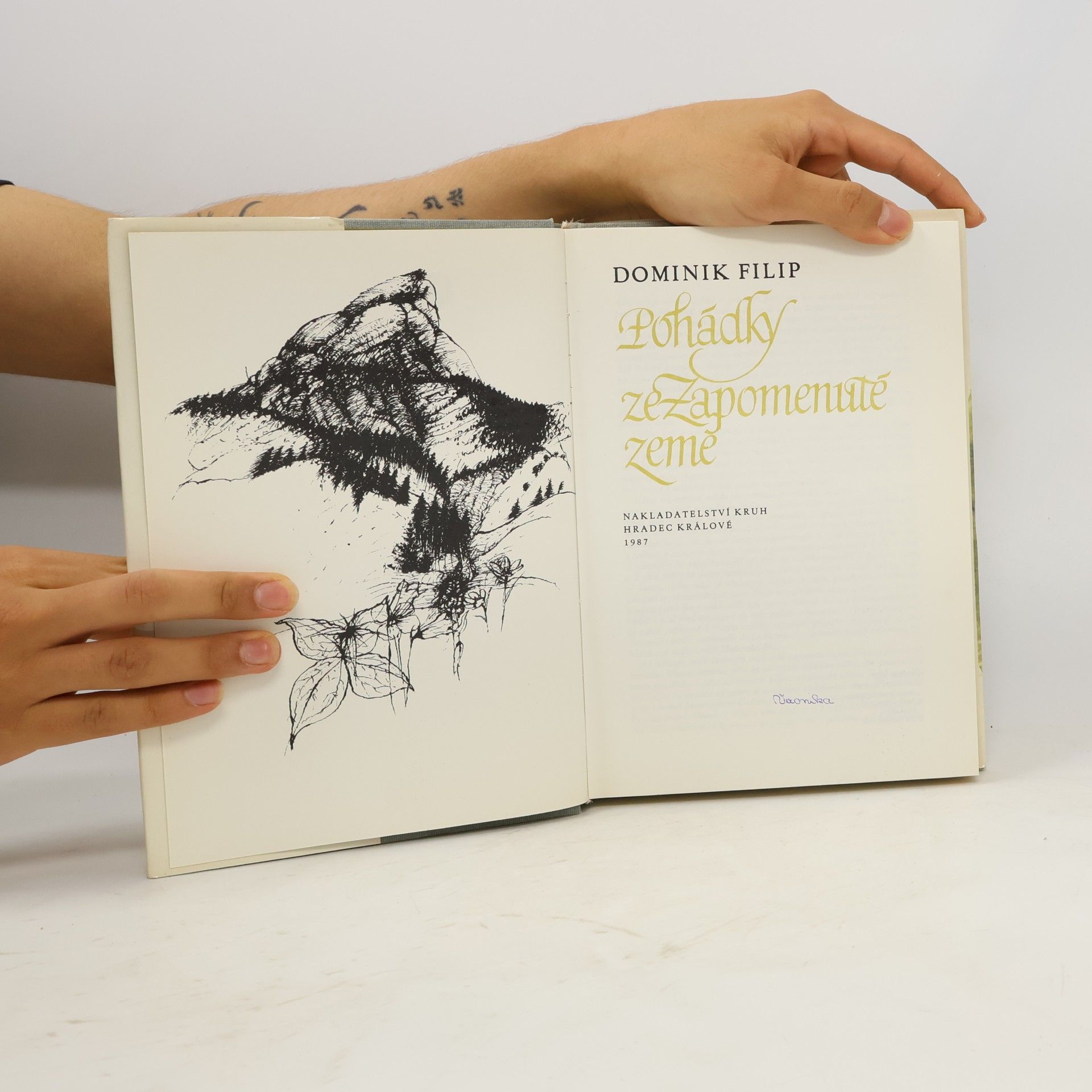 Dominik Filip Pohádky ze Zapomenuté země