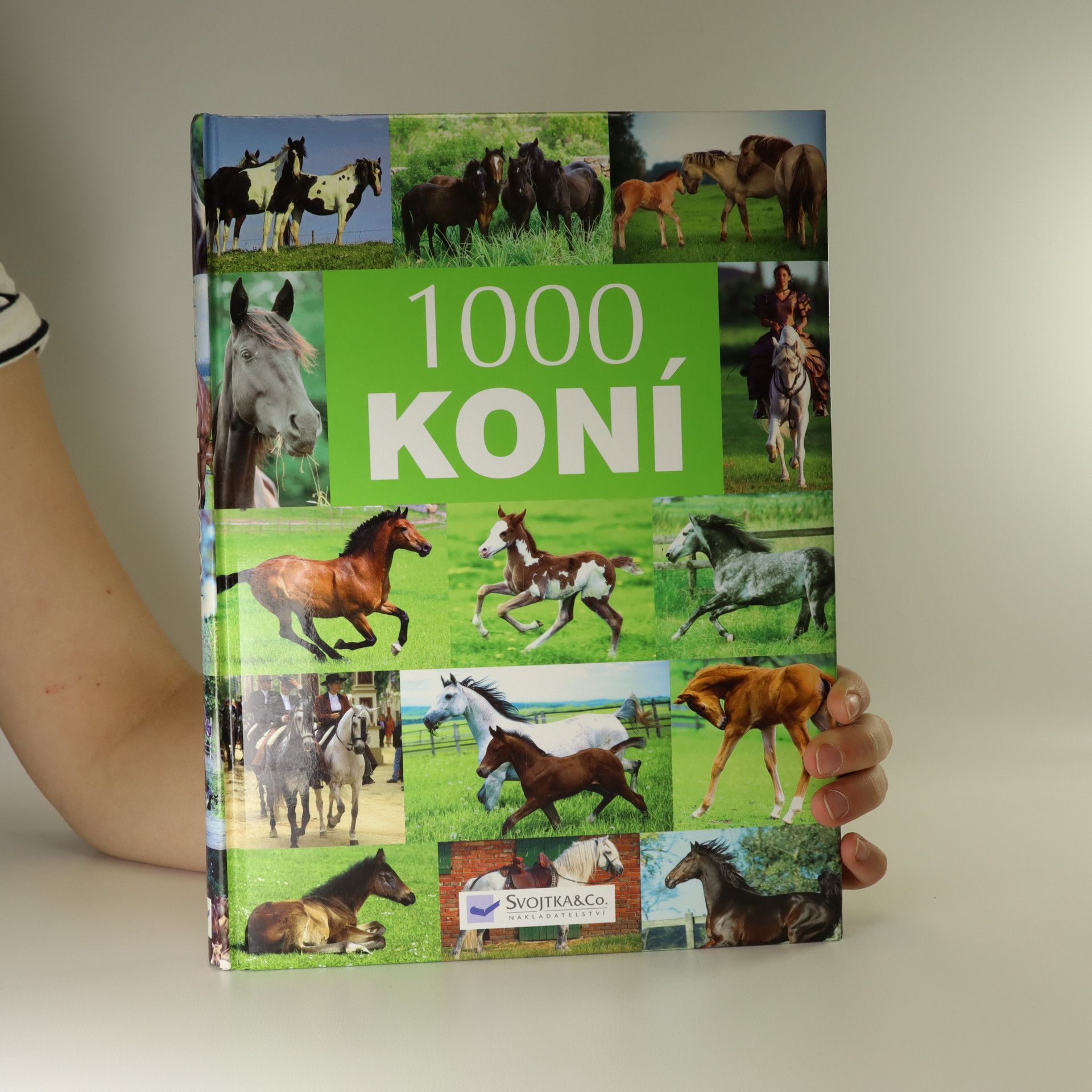 Various authors 1000 koní