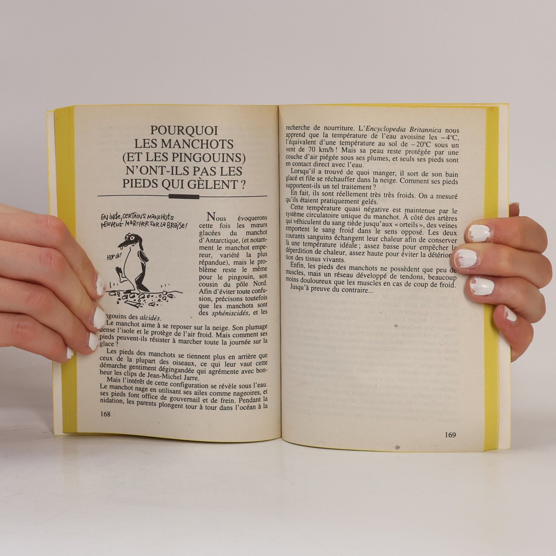 Philippe Vandel Pourquoi: Le livre des pourquoi LP 6