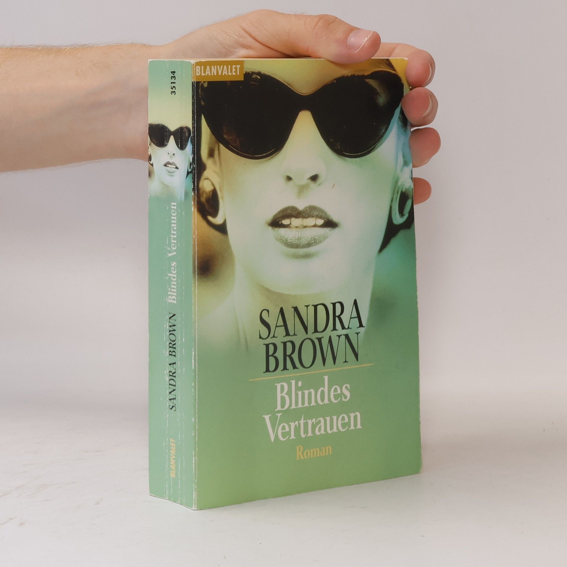 Sandra Brown Blindes Vertrauen