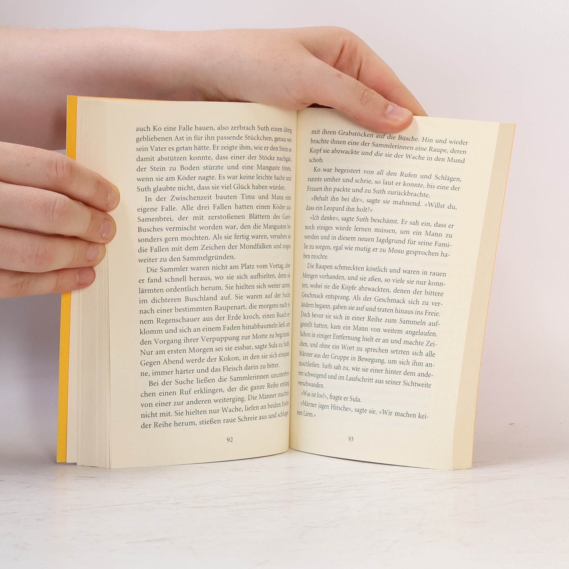 Peter Dickinson Die Kinder des Mondfalken. Bd.1. Suths Geschichte