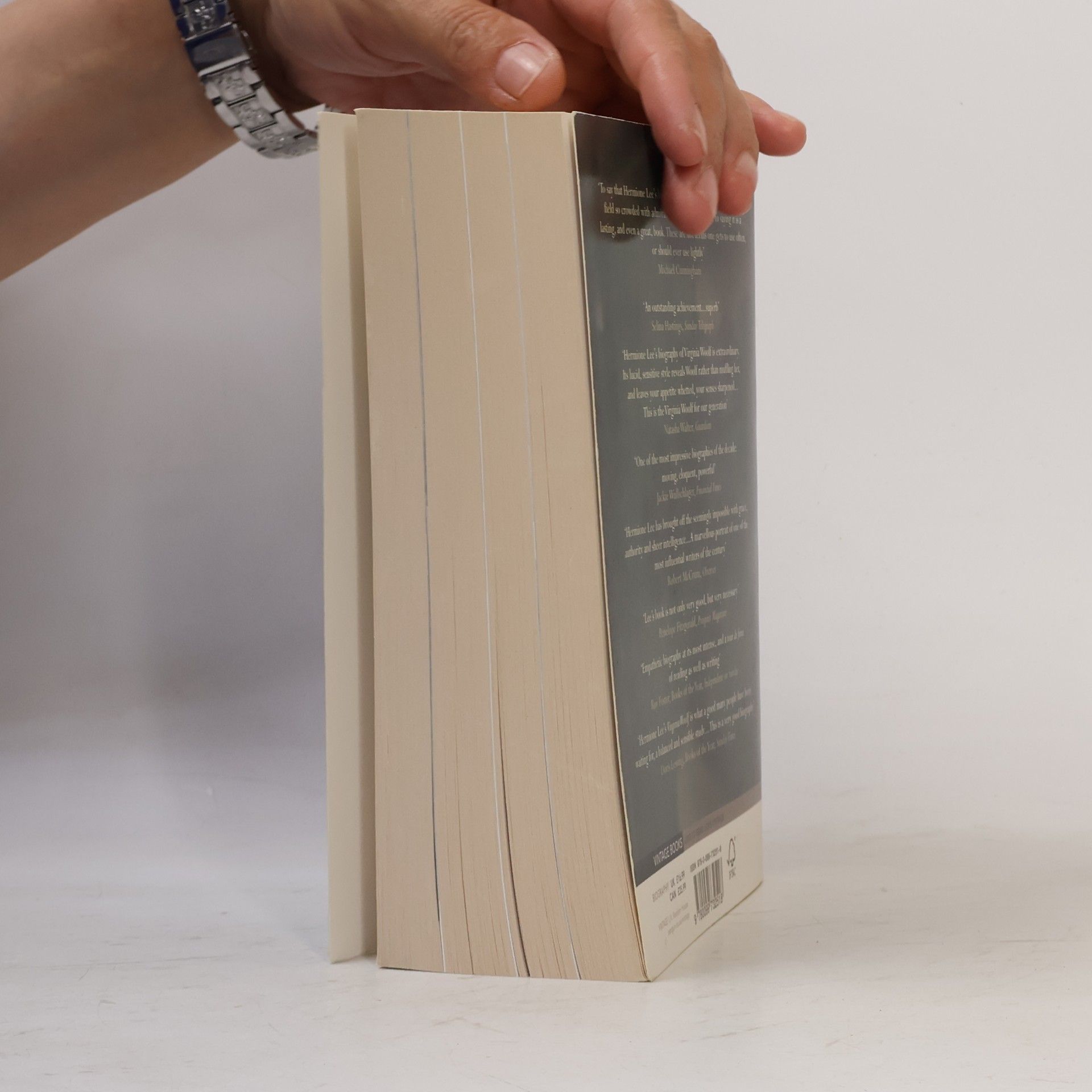 Hermione Lee Virginia Woolf