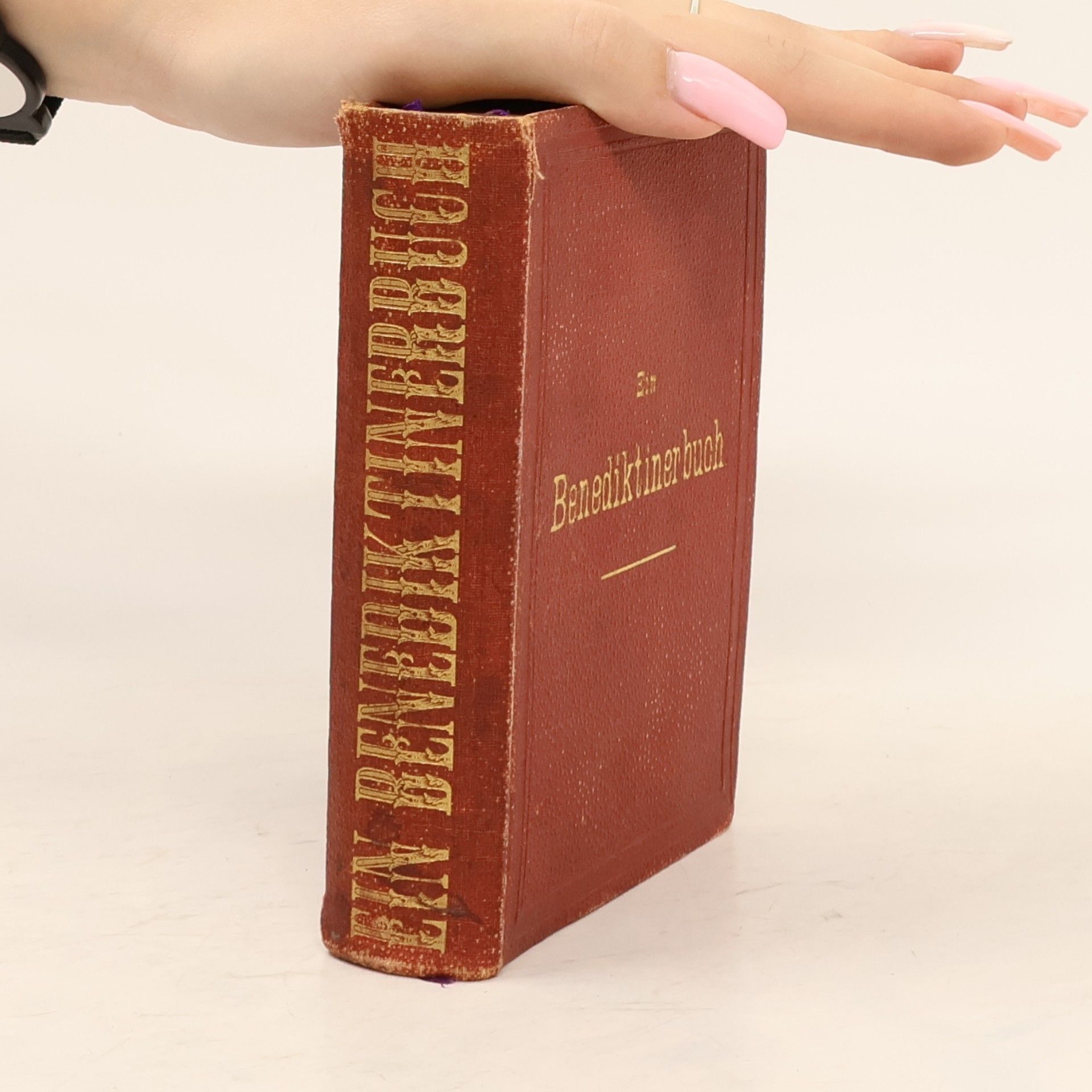 Ein Benediktinerbuch