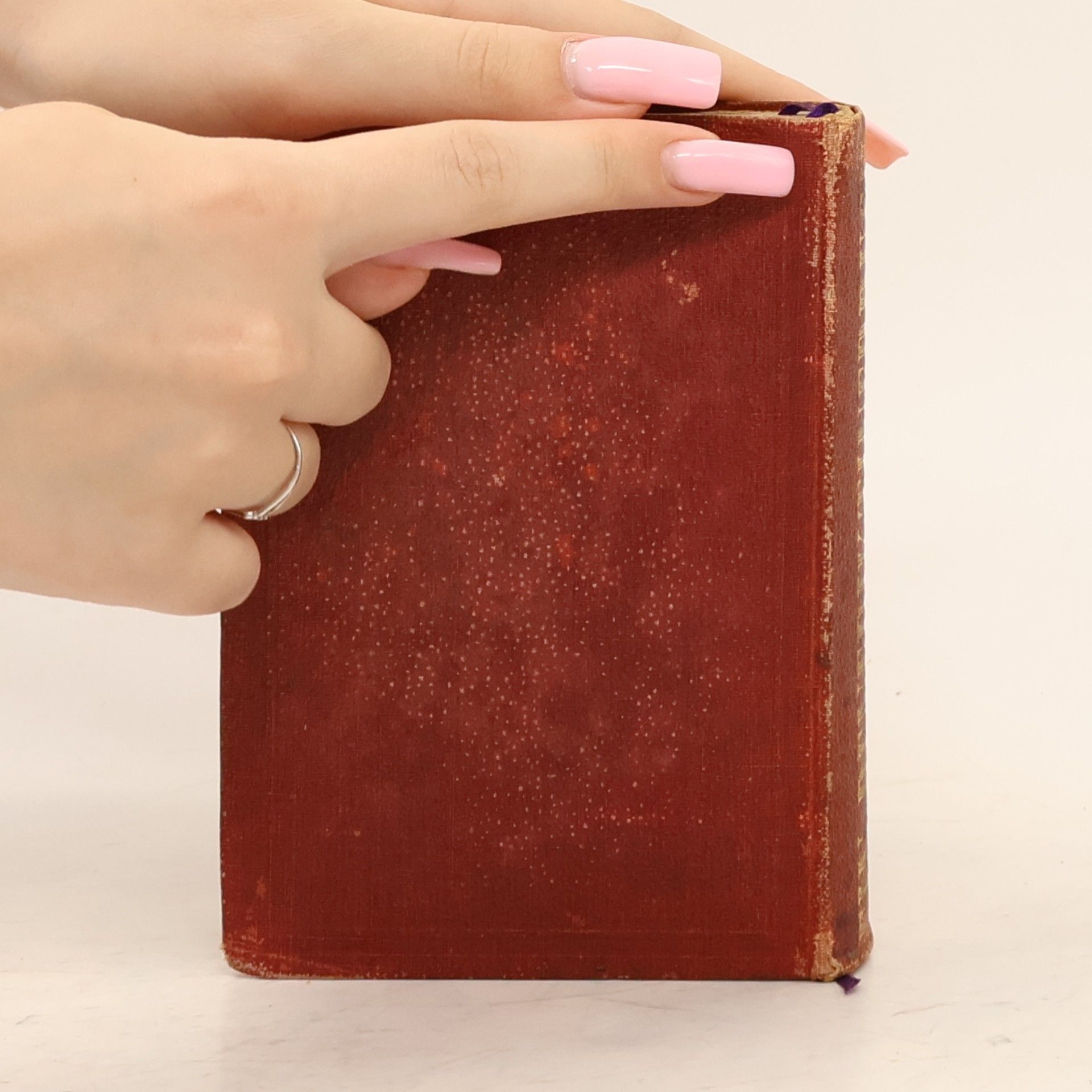 Sebastian Brunner Ein Benediktinerbuch