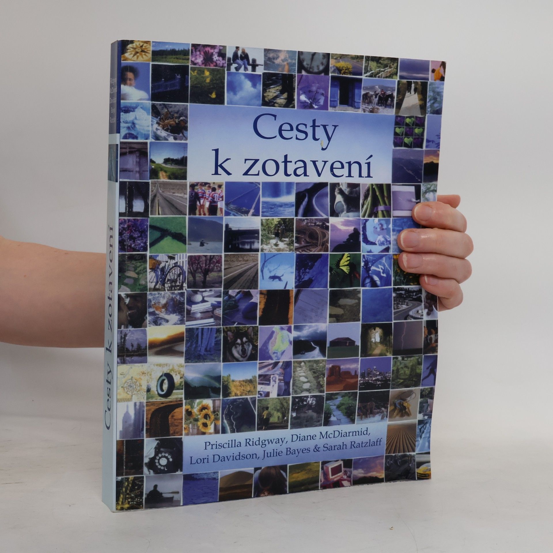 Autorenkollektiv Cesty k zotavení