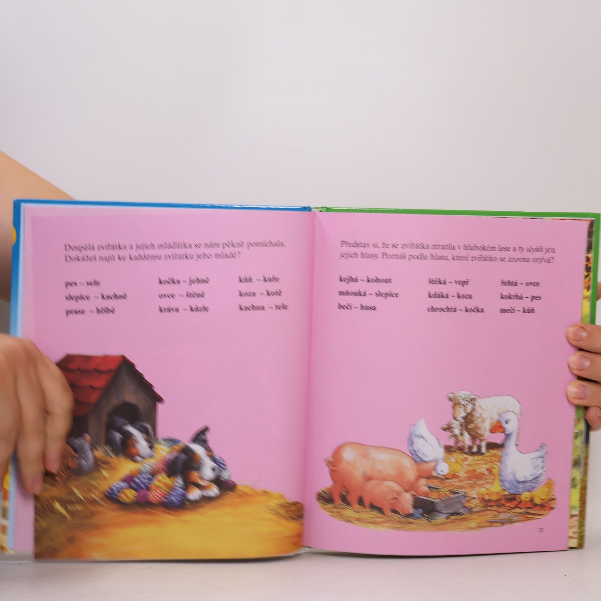 Autorenkollektiv Zvědavý Punťa a jiné příběhy