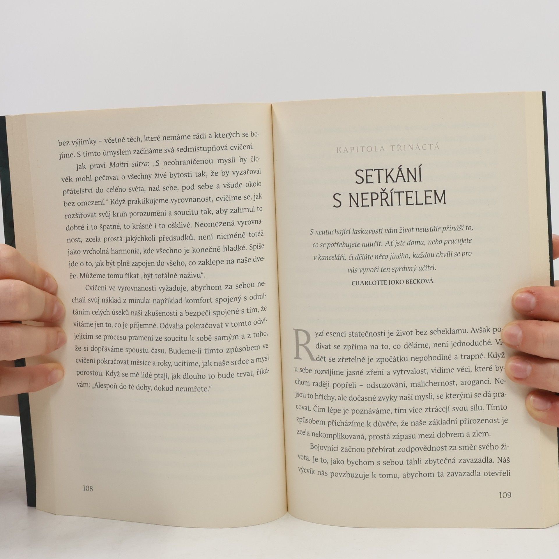 Pema Chödrön Místa, která vás děsí