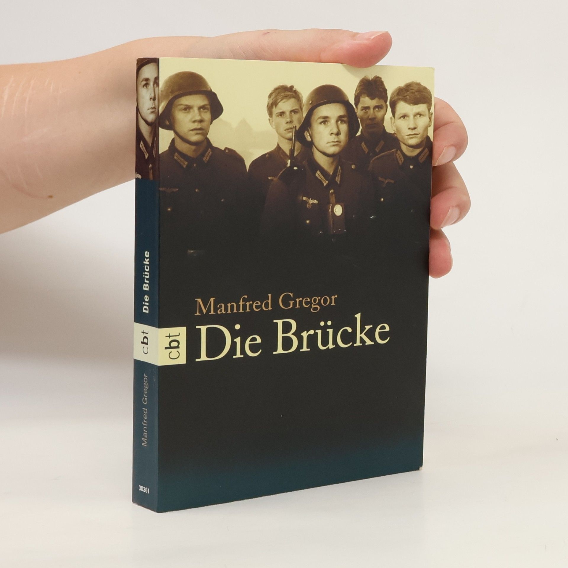 Manfred Gregor Die Brücke