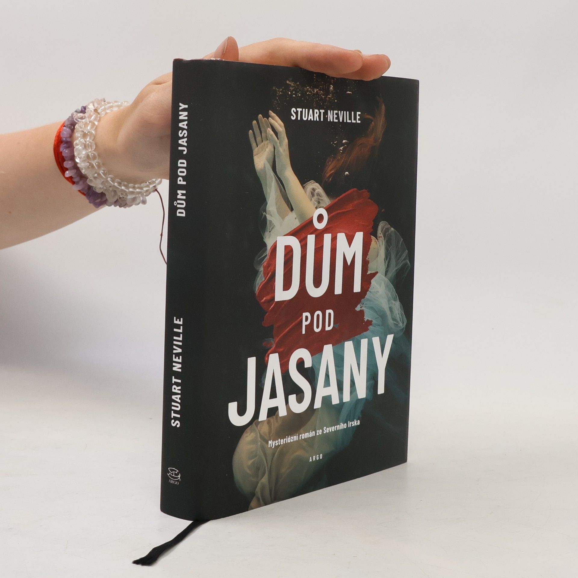 Stuart Neville Dům pod jasany