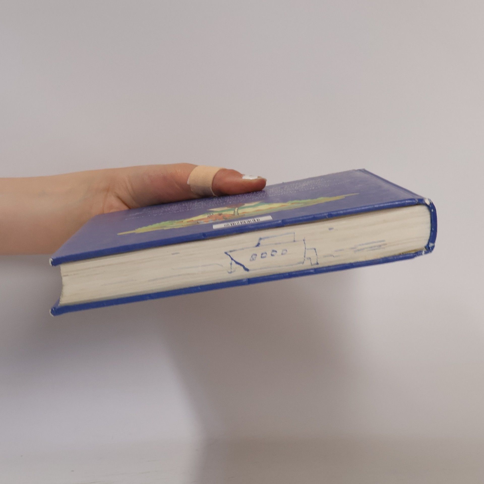 Autorenkollektiv Die schönsten Leselöwen Geschichten
