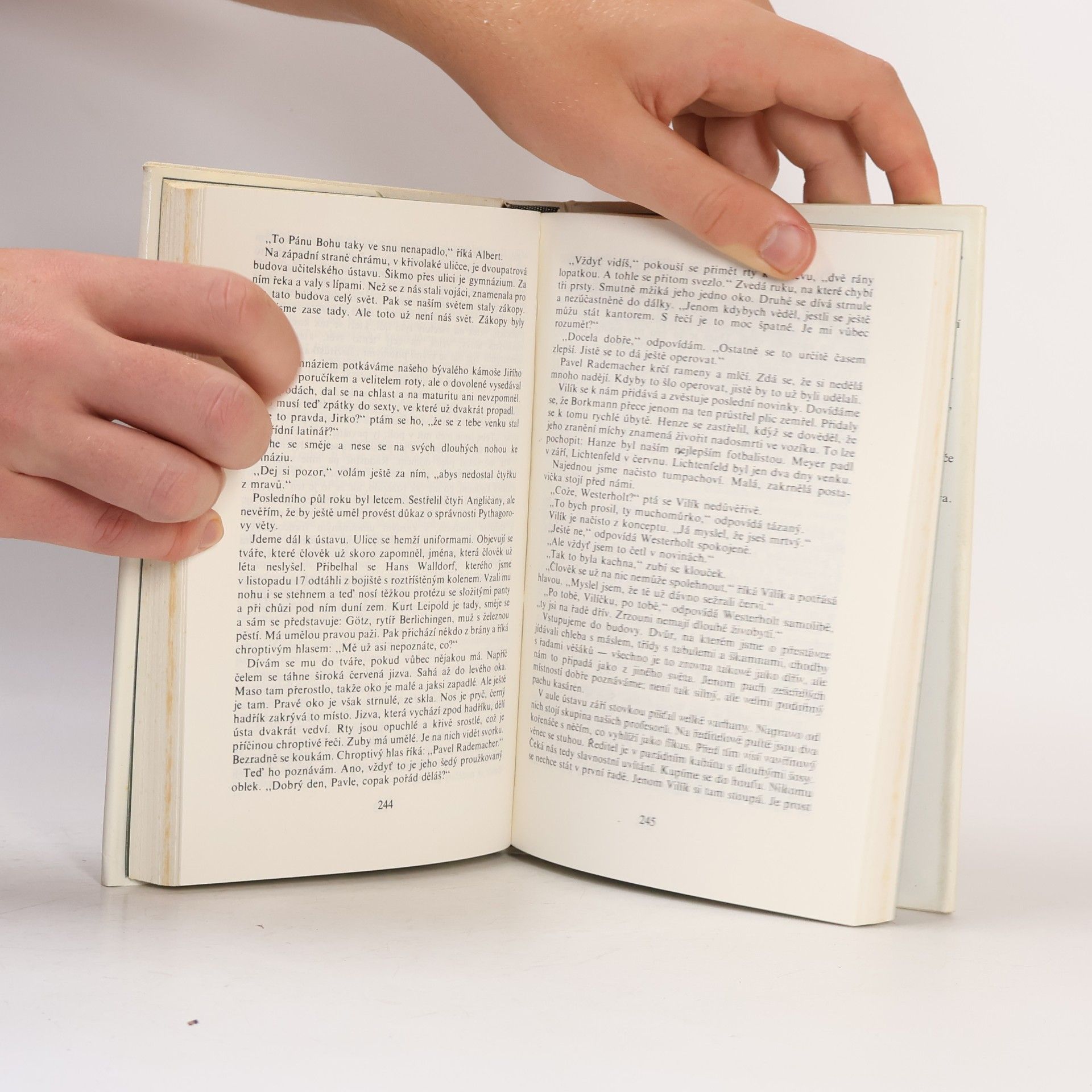 Erich Maria Remarque Na západní frontě klid