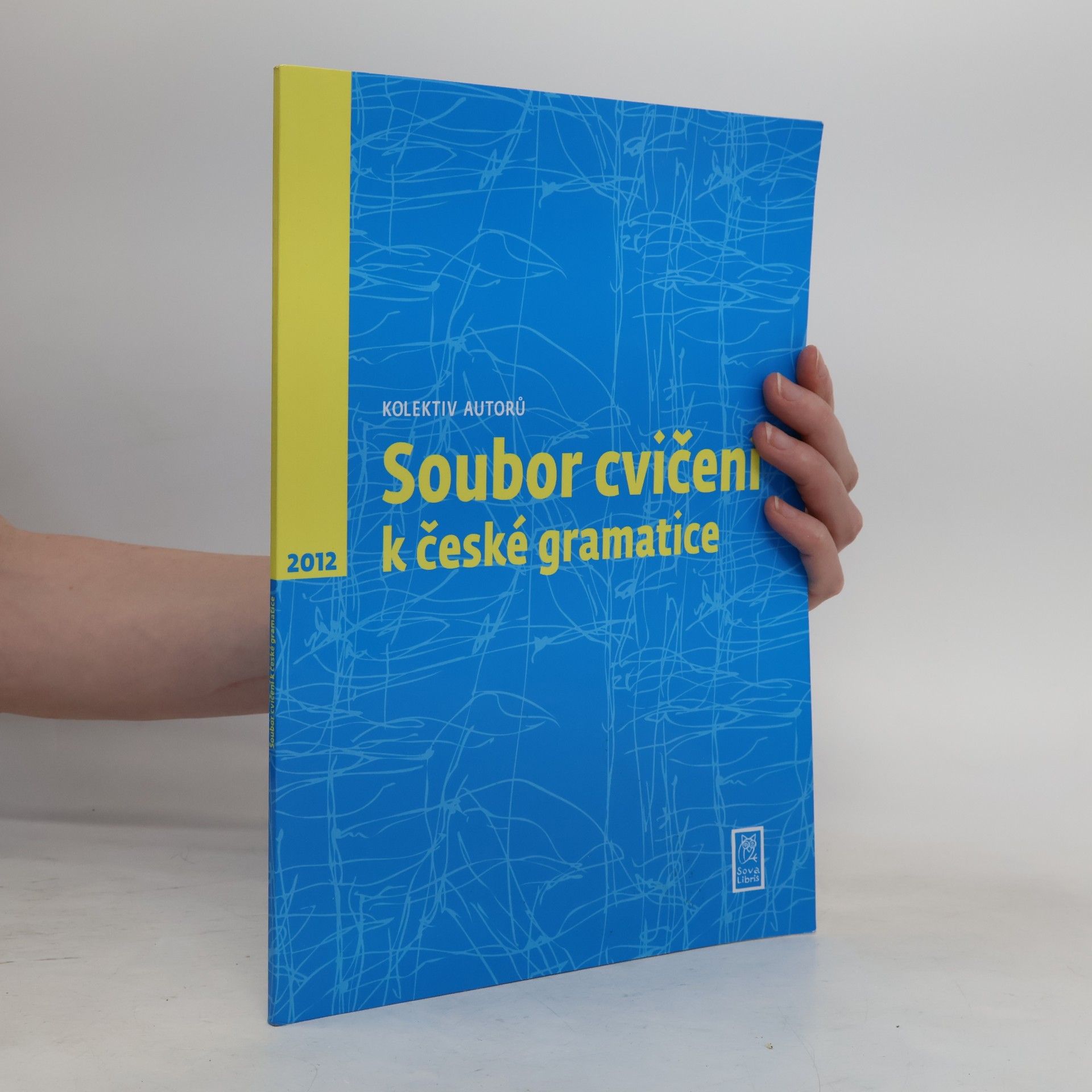 AA.VV. Soubor cvičení k české gramatice
