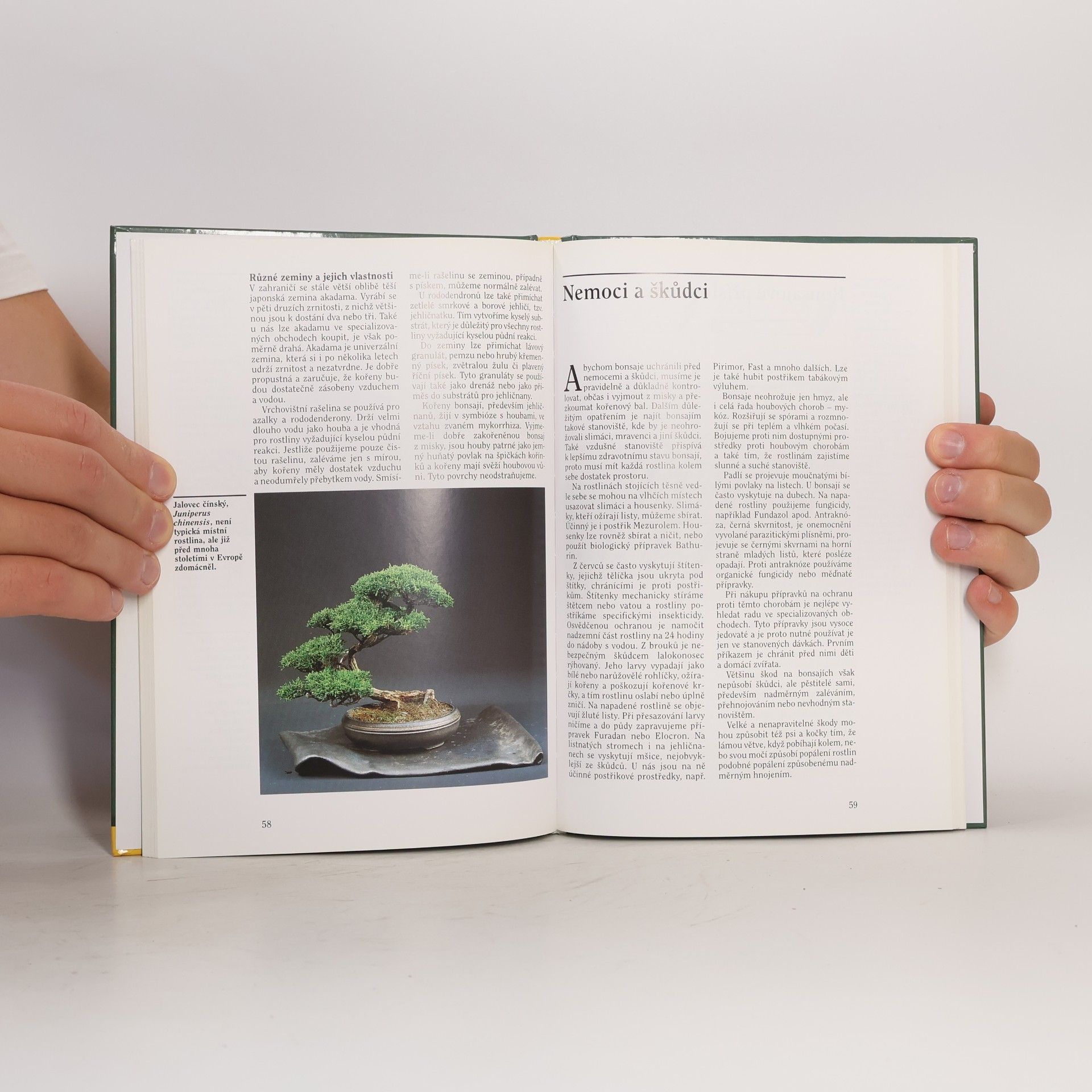 Wolfgang Kohlhepp Bonsaje z domácích dřevin. 54 barevných fotografií, 78 kreseb