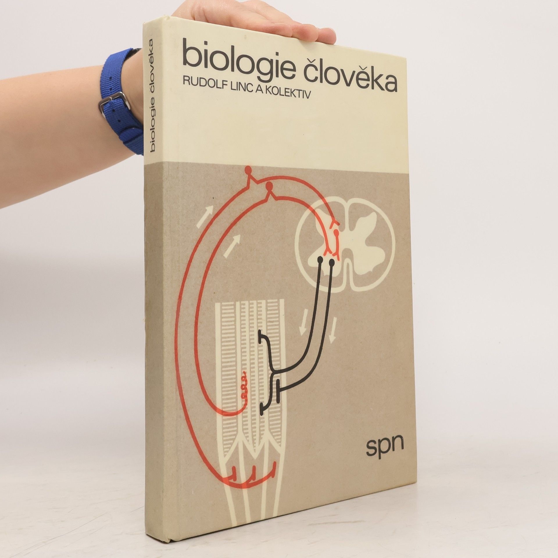 Rudolf Linc Biologie člověka
