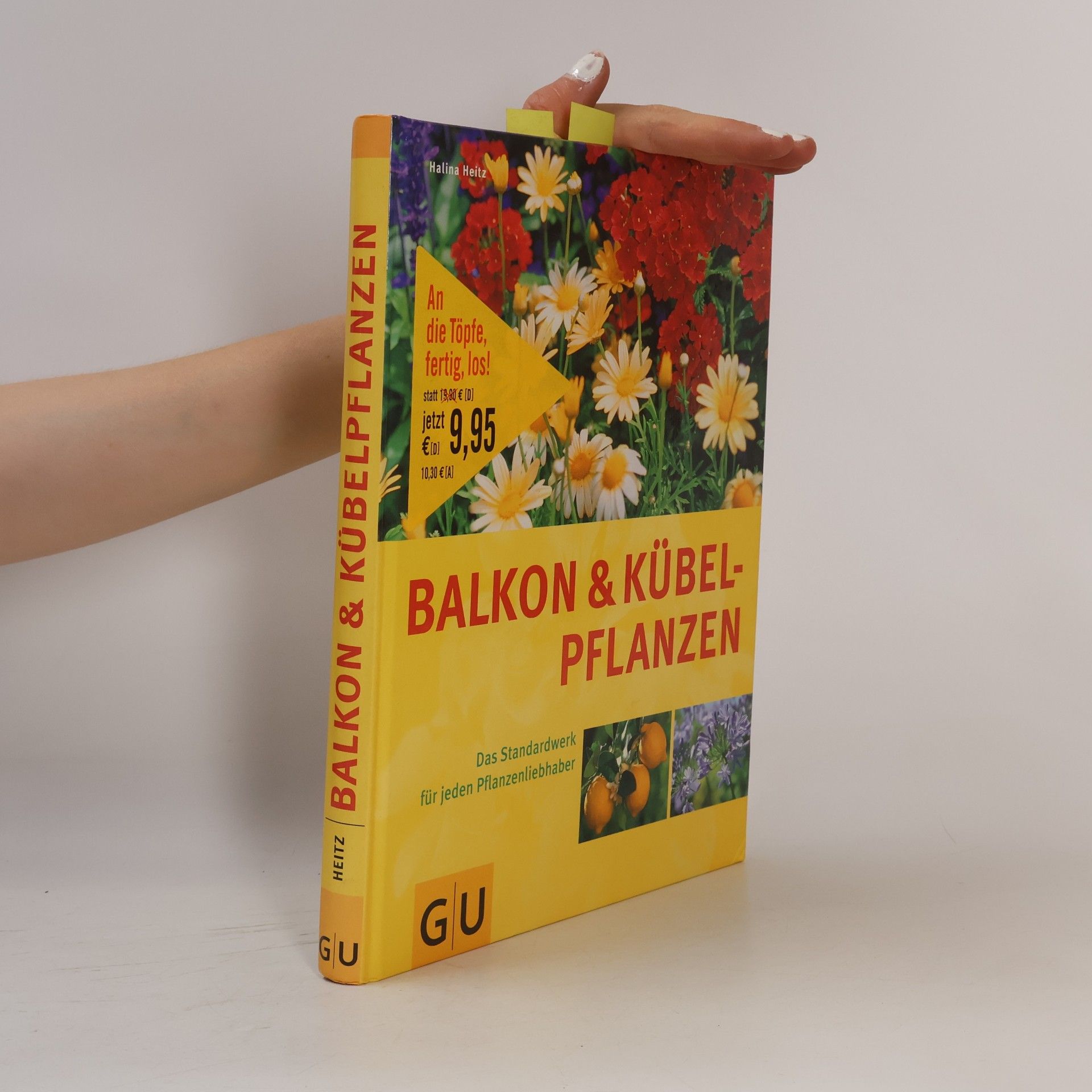 Halina Heitz Balkon und Kübelpflanzen