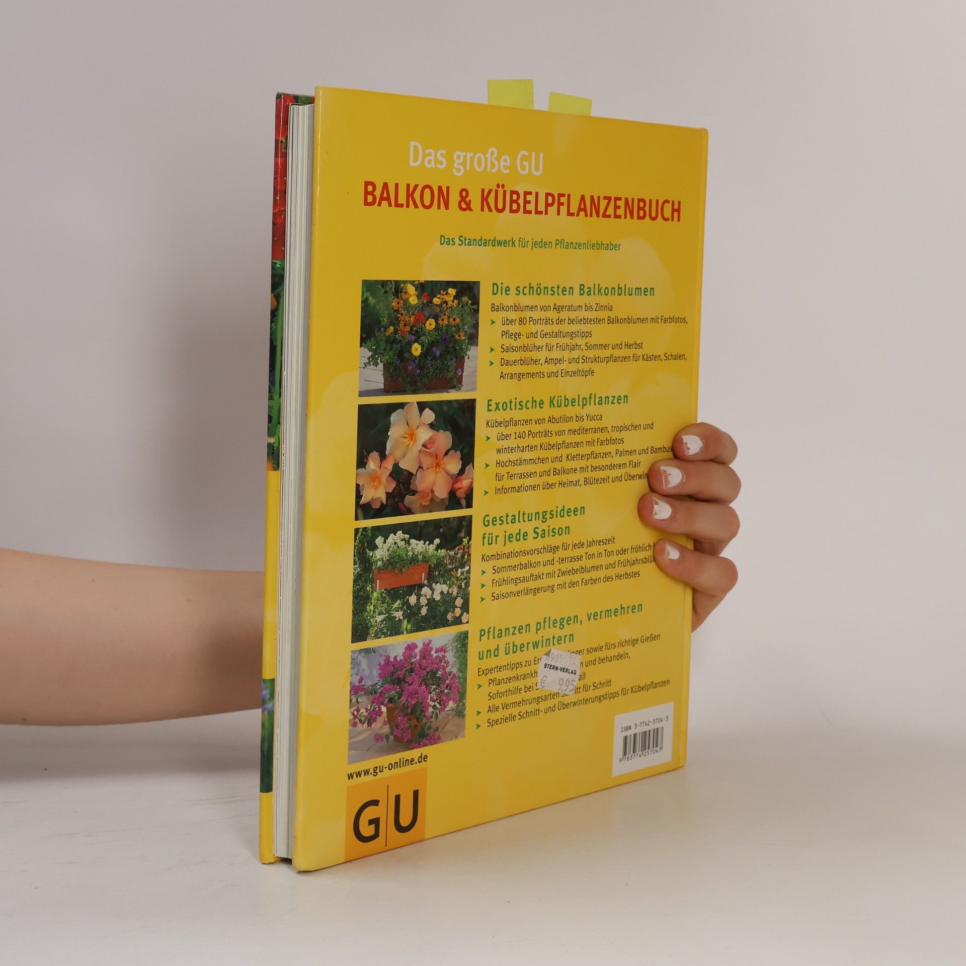 Halina Heitz Balkon und Kübelpflanzen